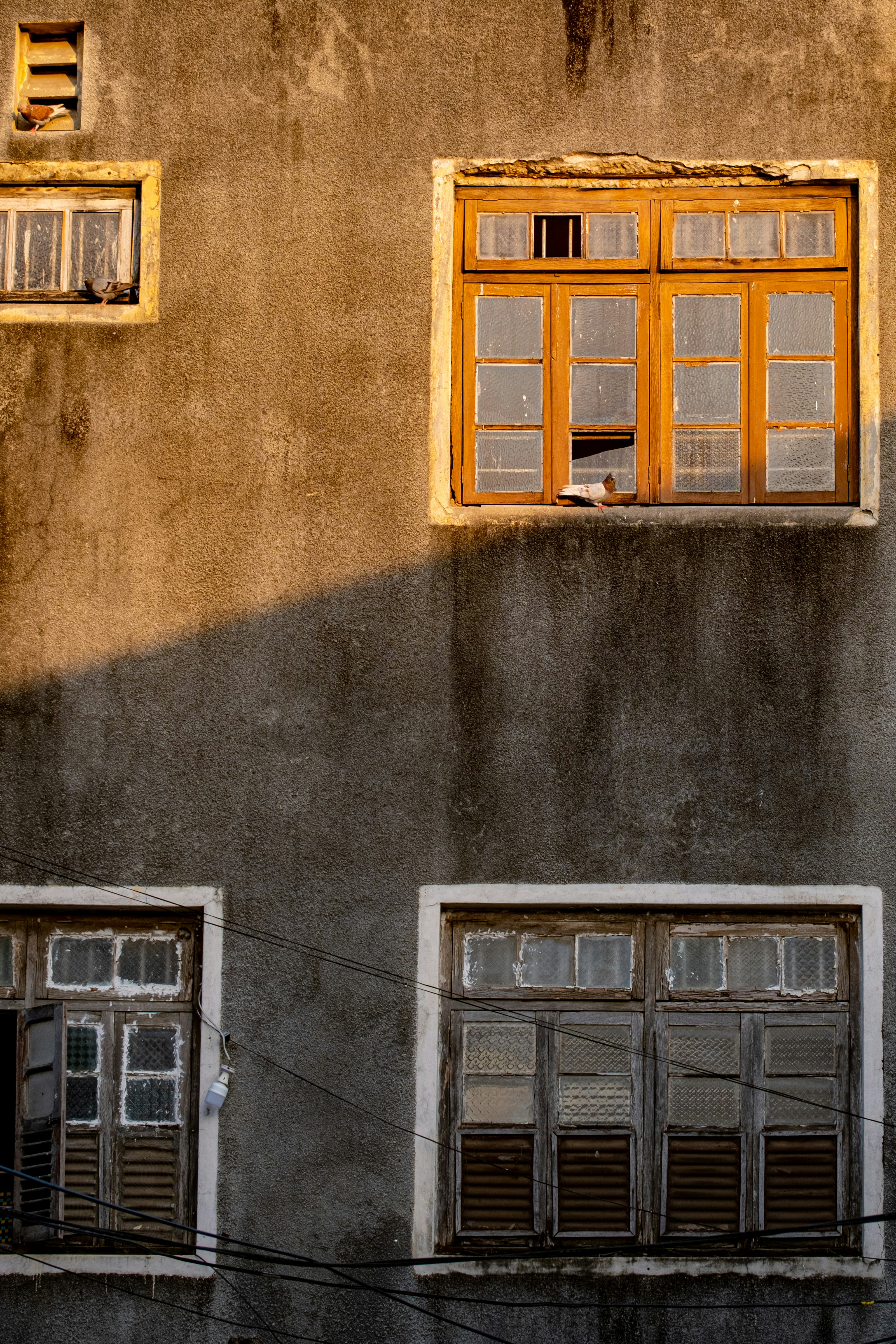 a building with two windows and a cat sitting in the window