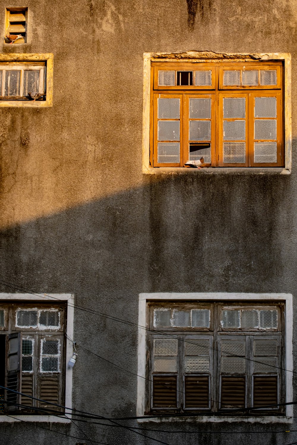 窓が2つある建物と窓に座っている猫