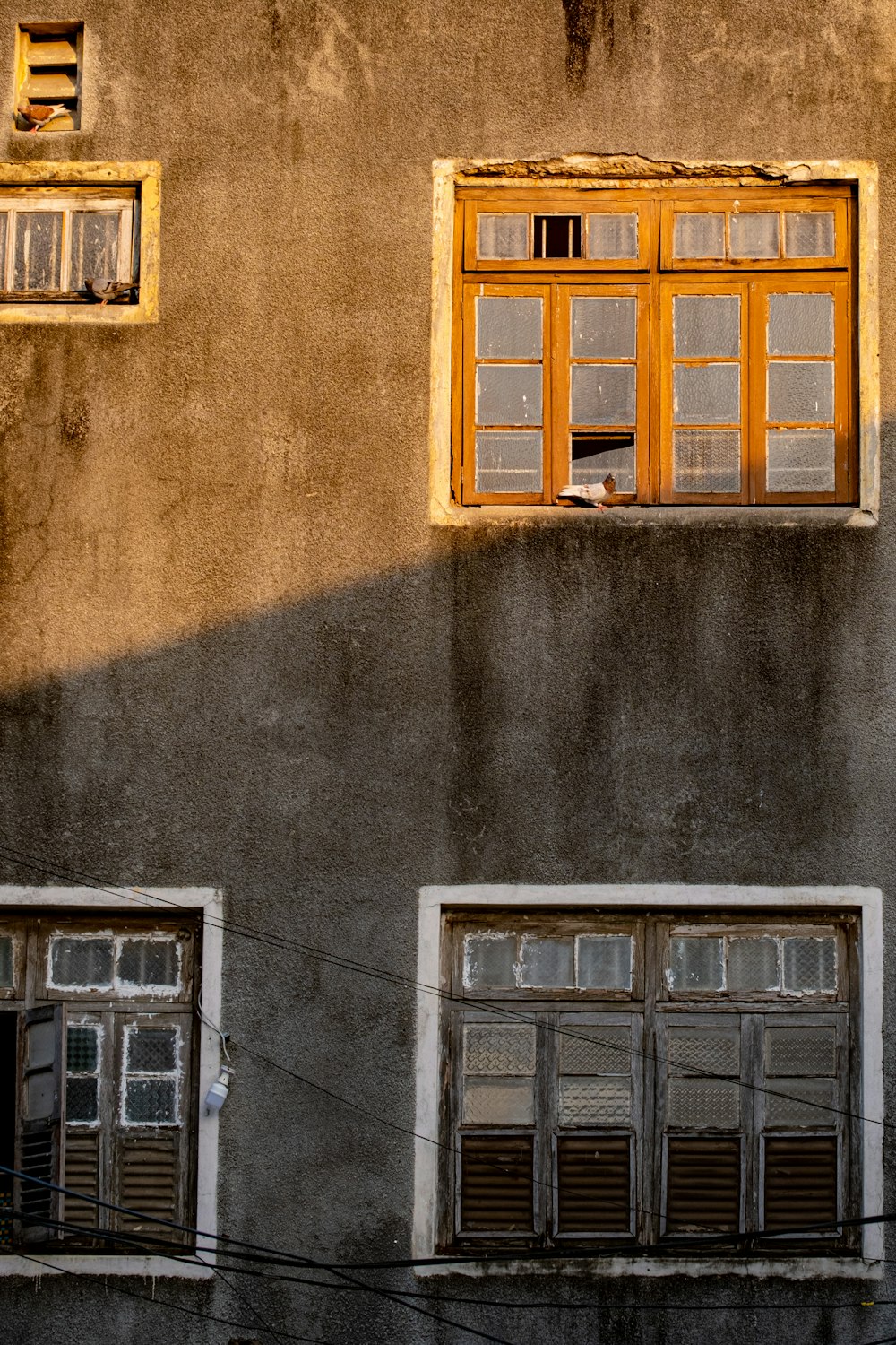 a building with two windows and a cat sitting in the window