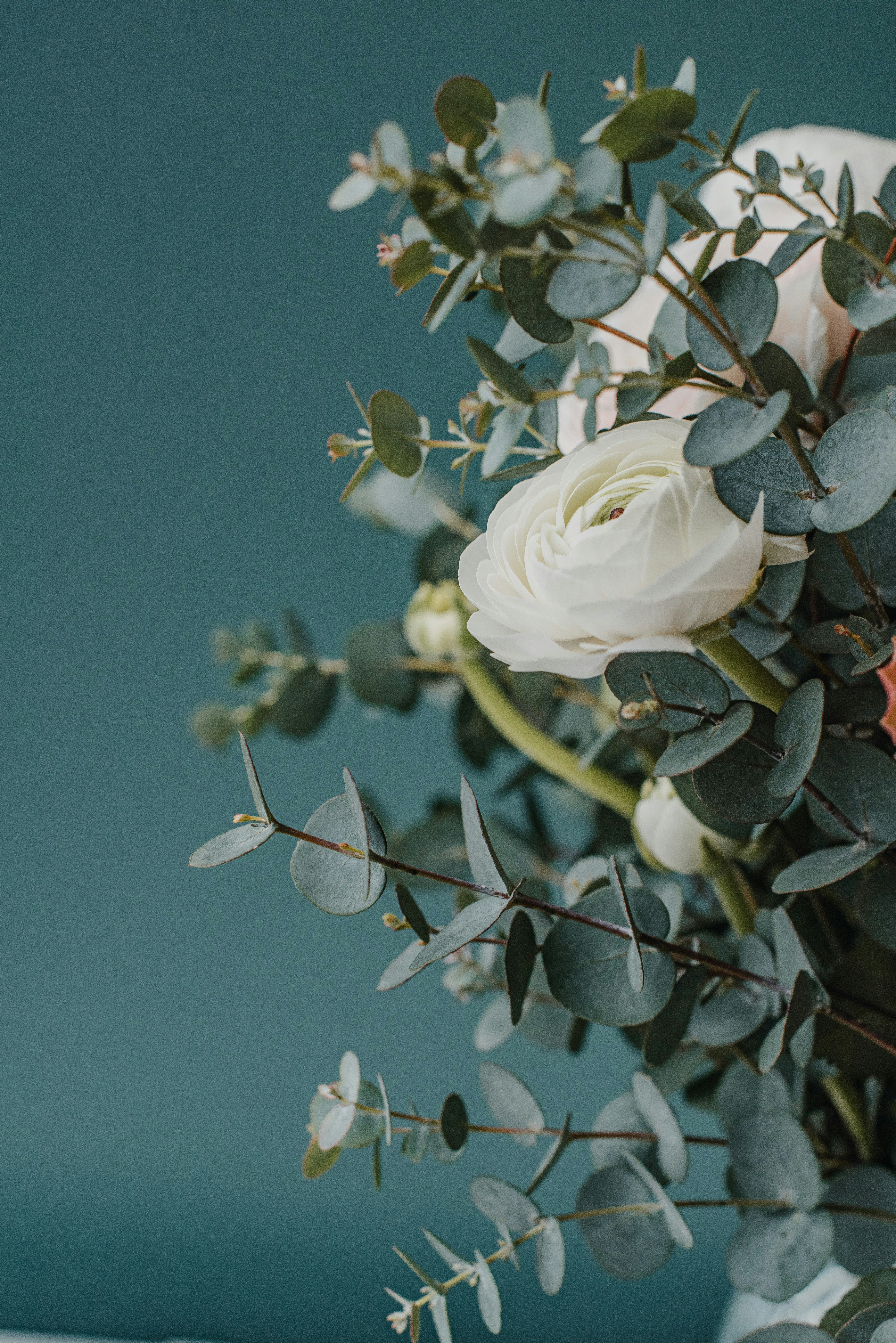 Photo by anitaaustvika