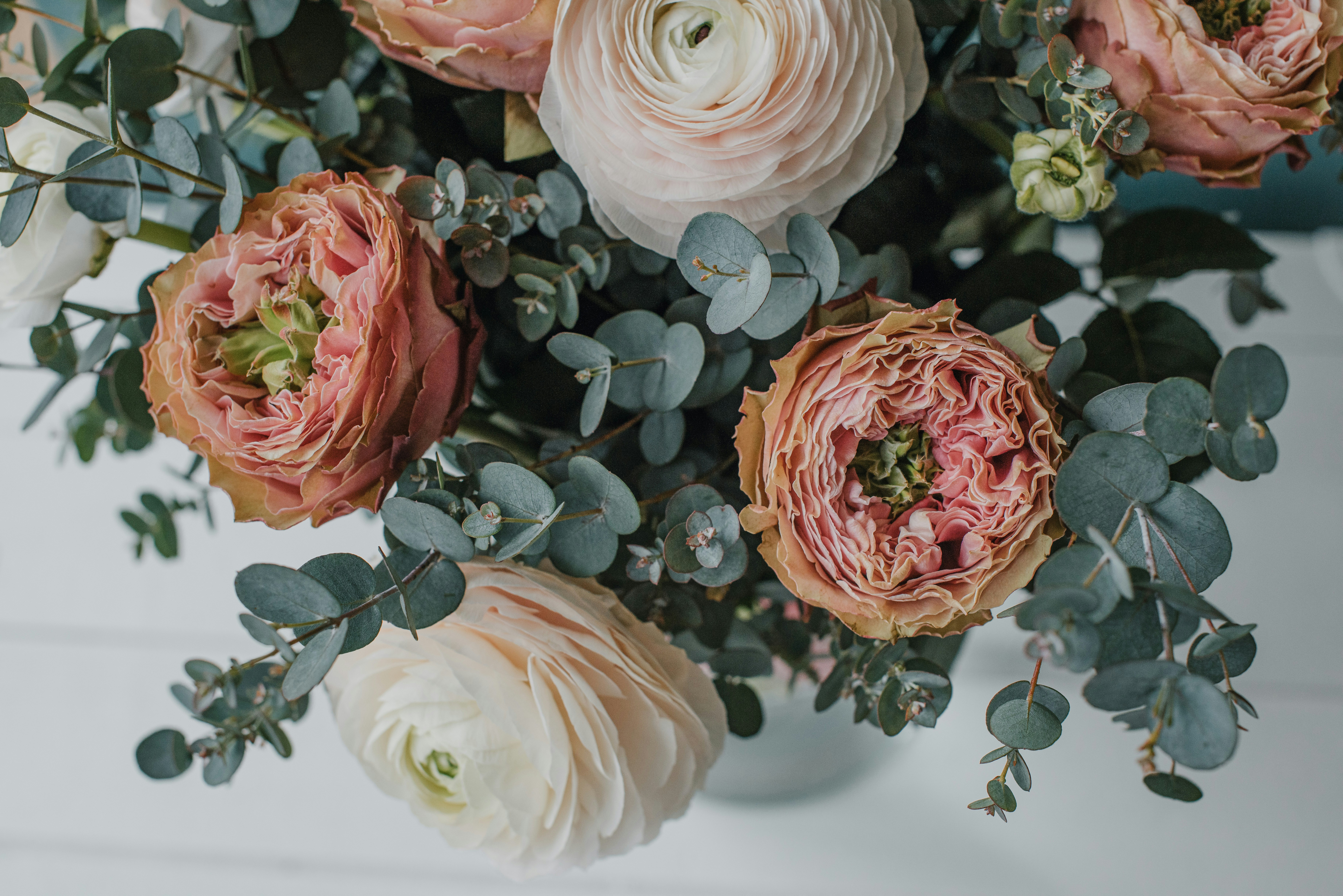 Photo by anitaaustvika