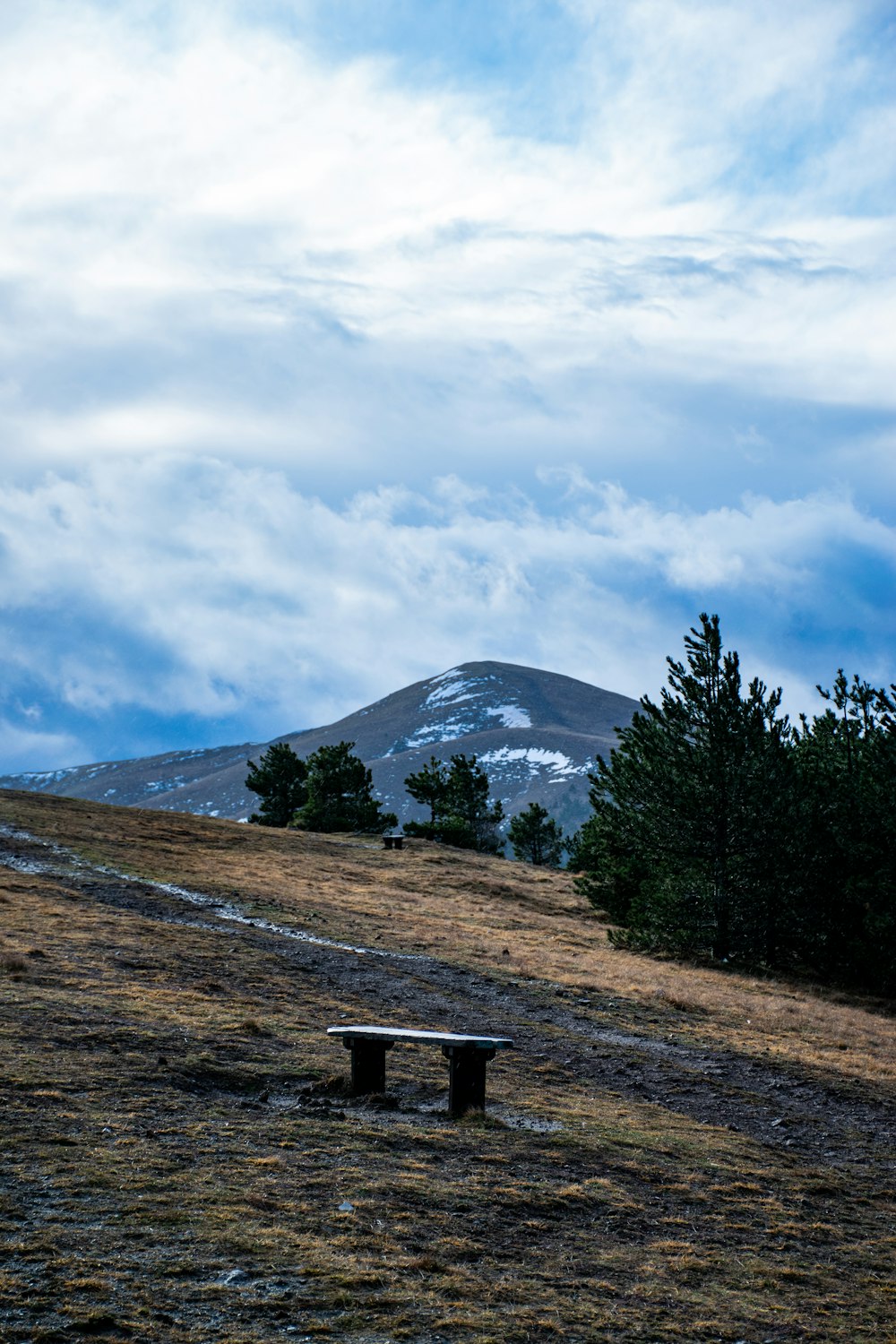 a bench sitting on top of a grass covered hillside