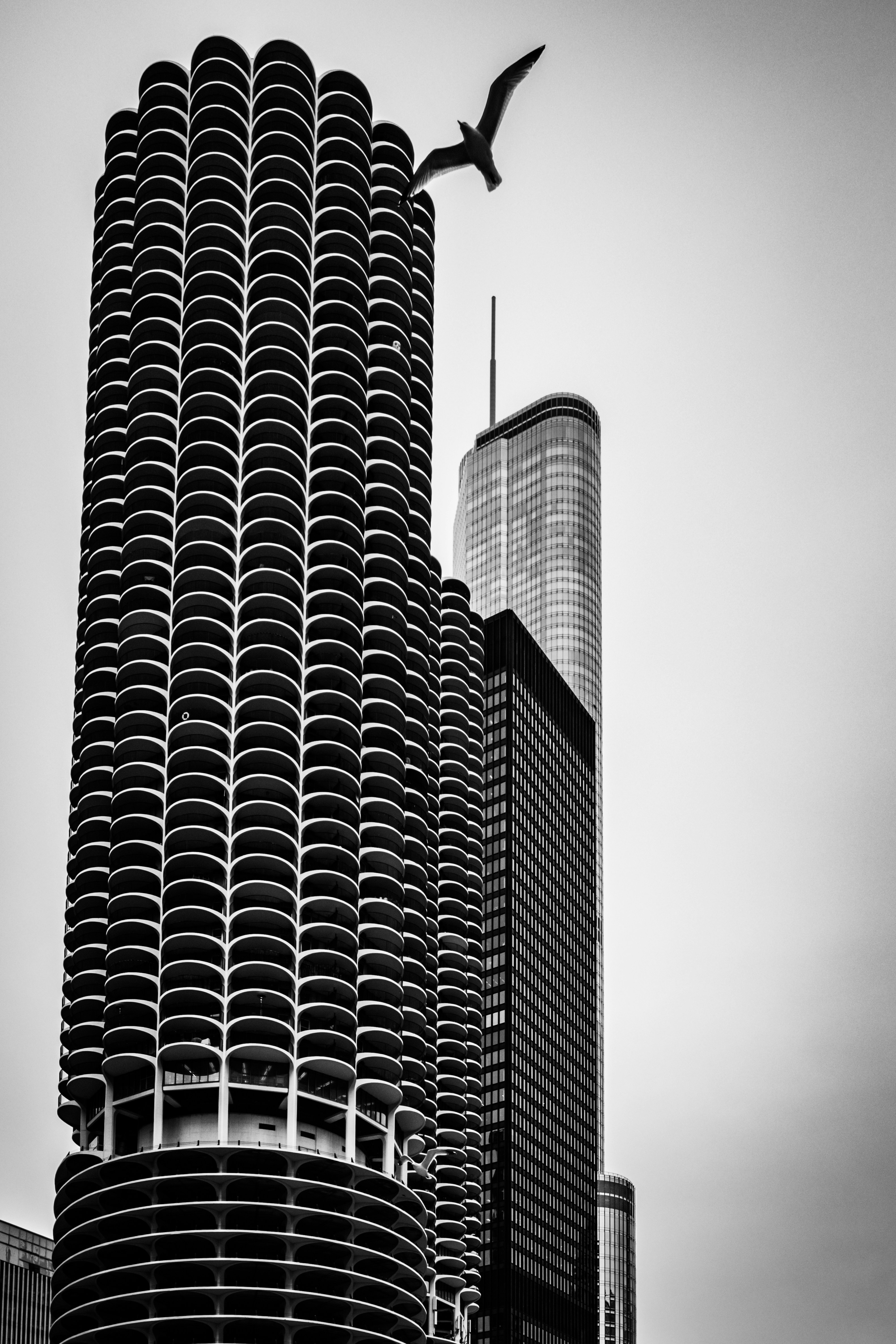 Photo by owenroth_v1