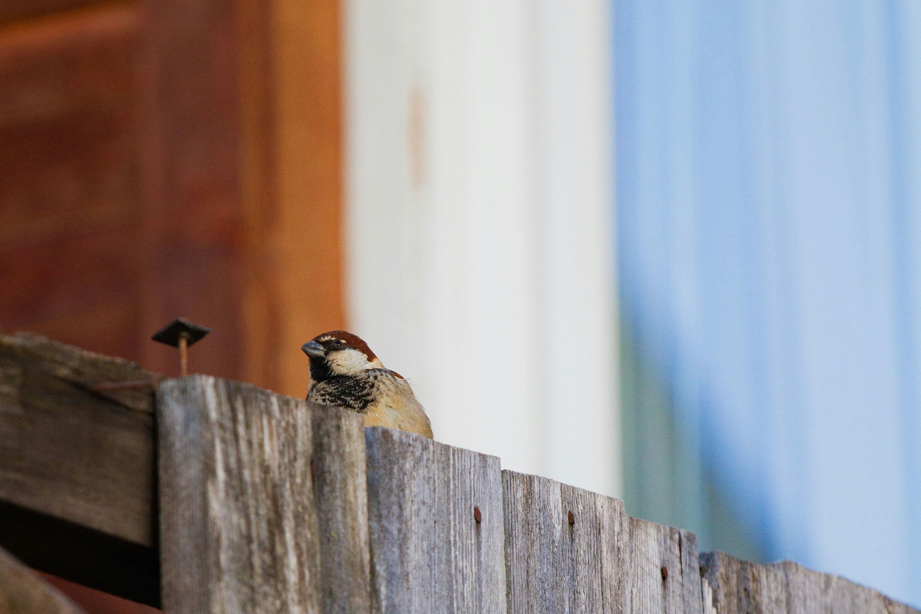 Photo by mattia_poli_04