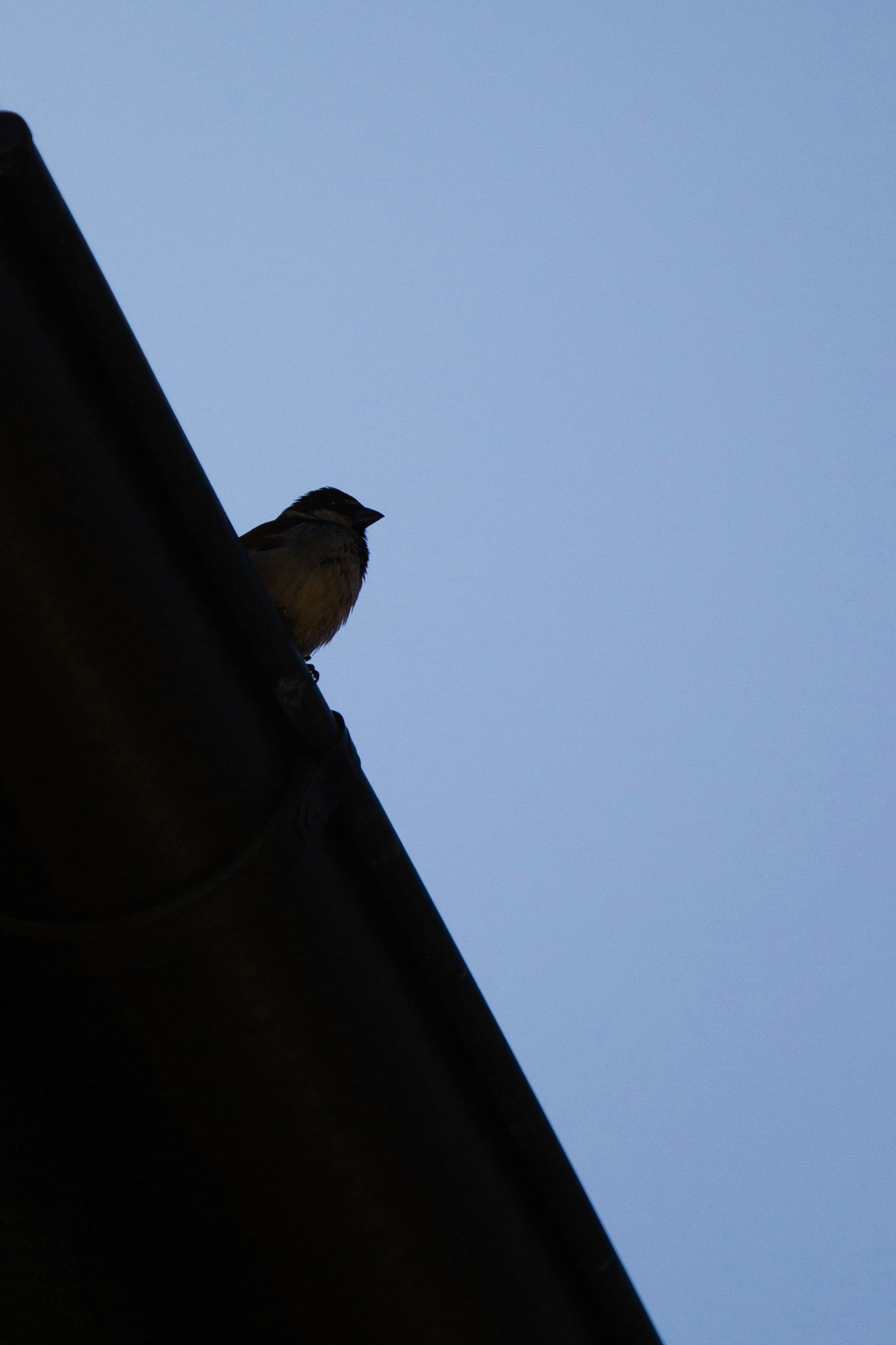 Photo by mattia_poli_04