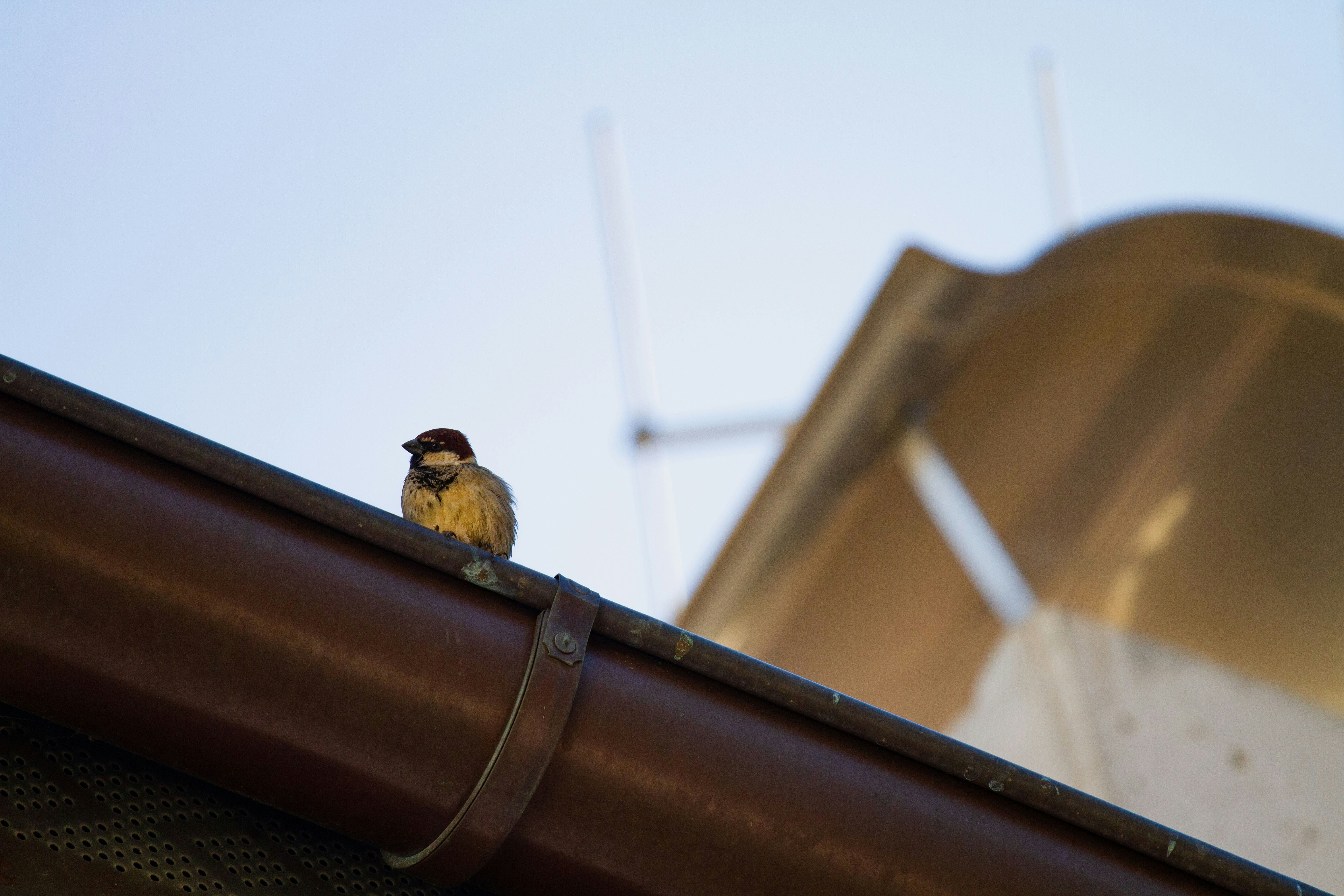 Photo by mattia_poli_04