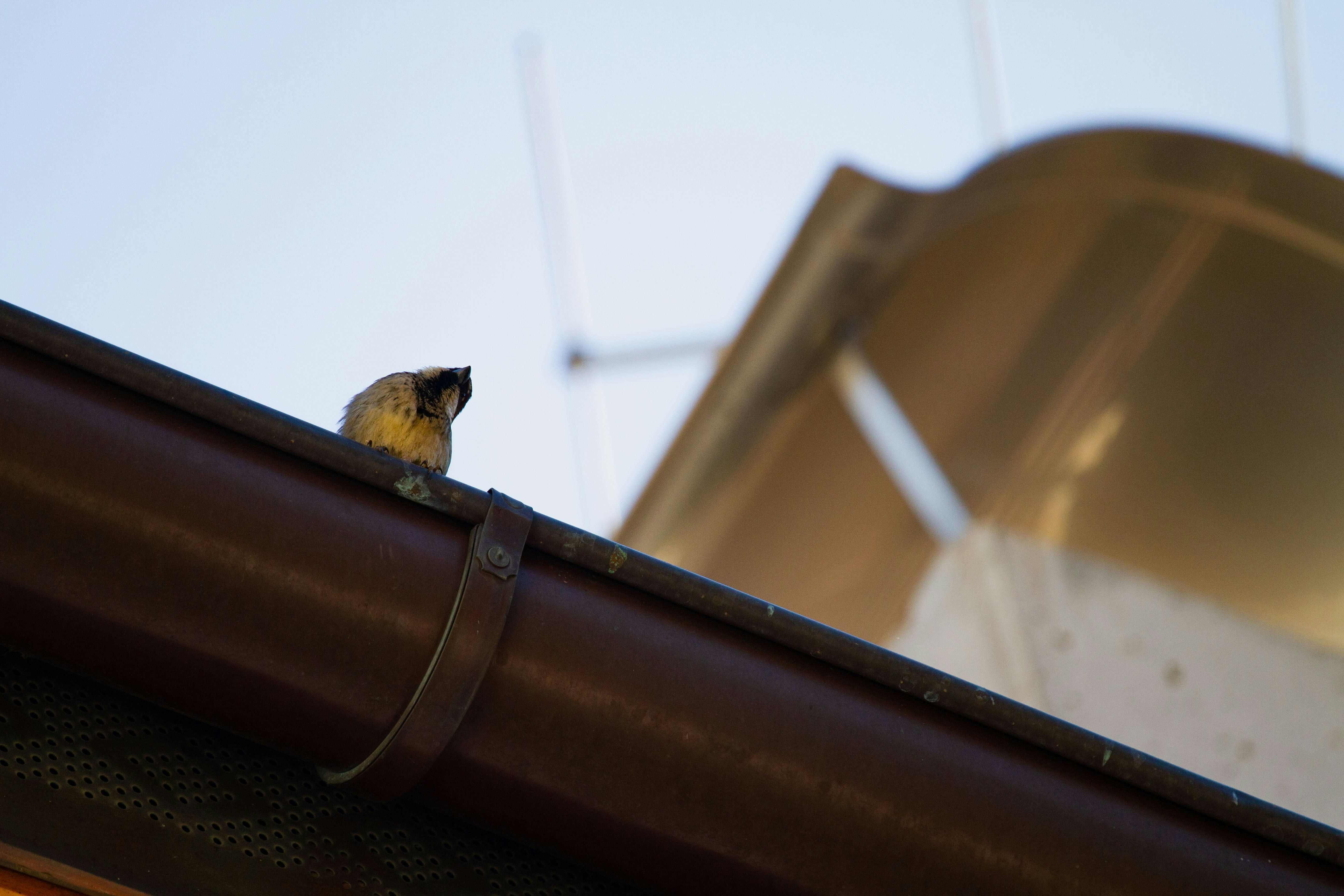 Photo by mattia_poli_04