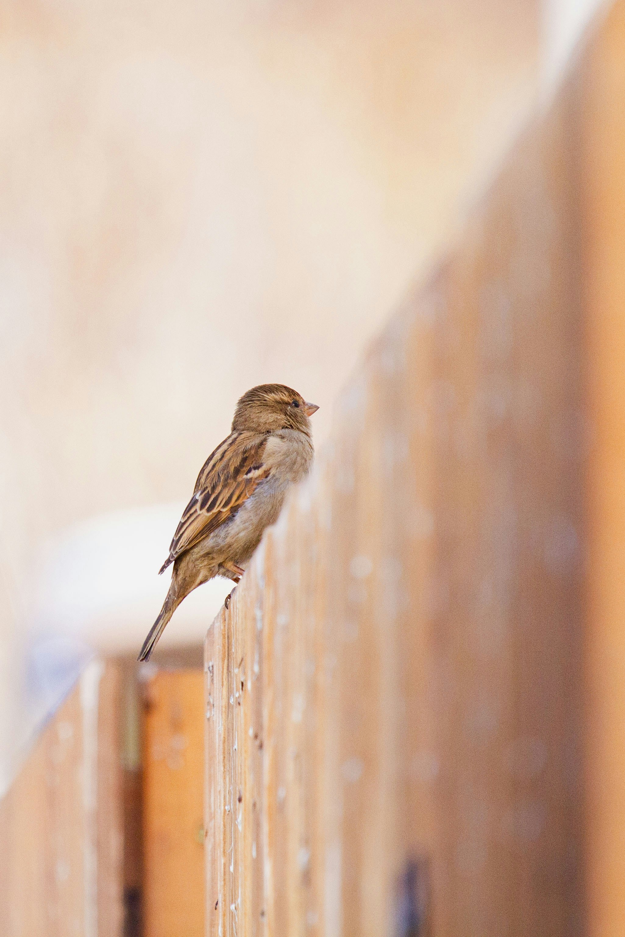 Photo by mattia_poli_04