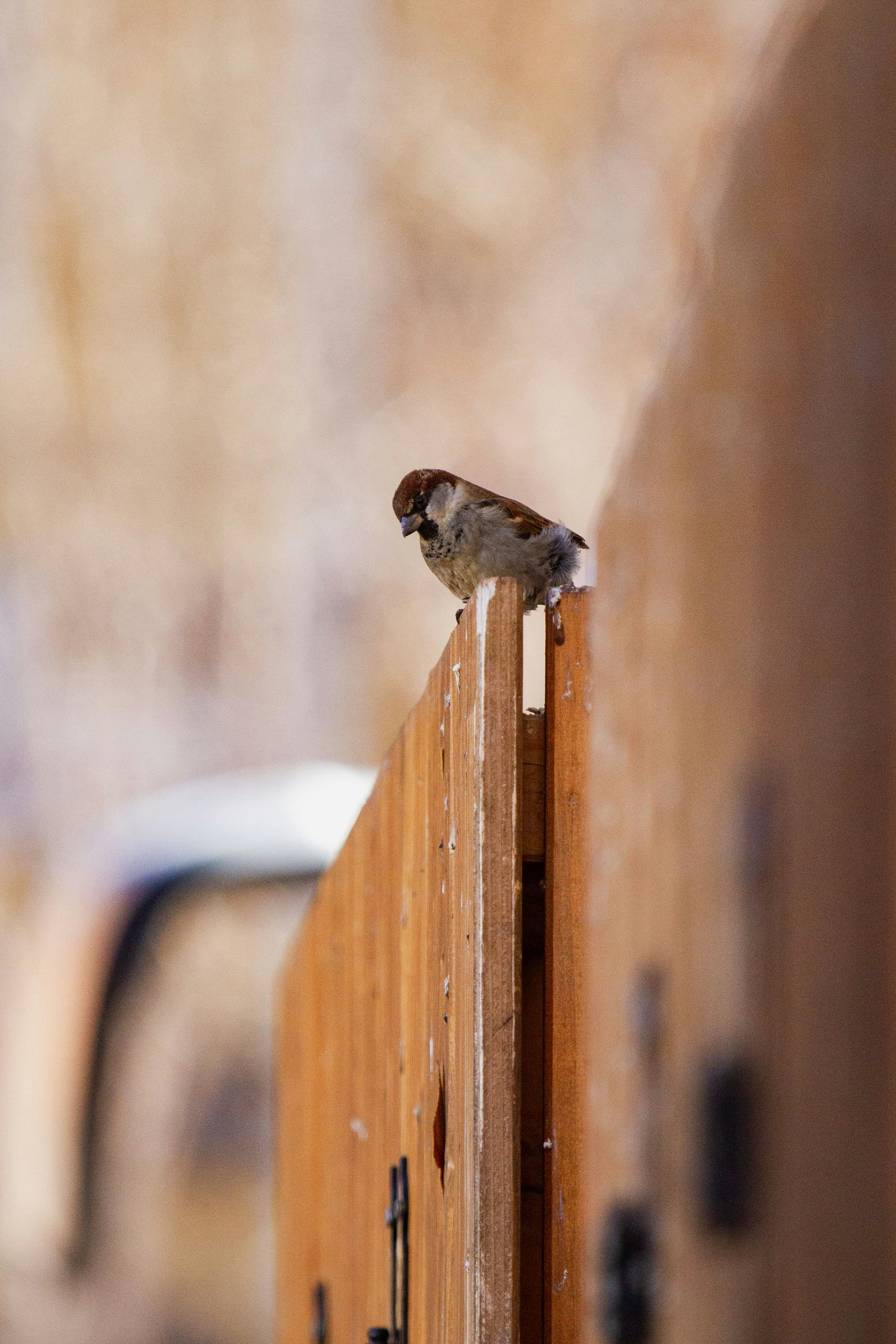 Photo by mattia_poli_04