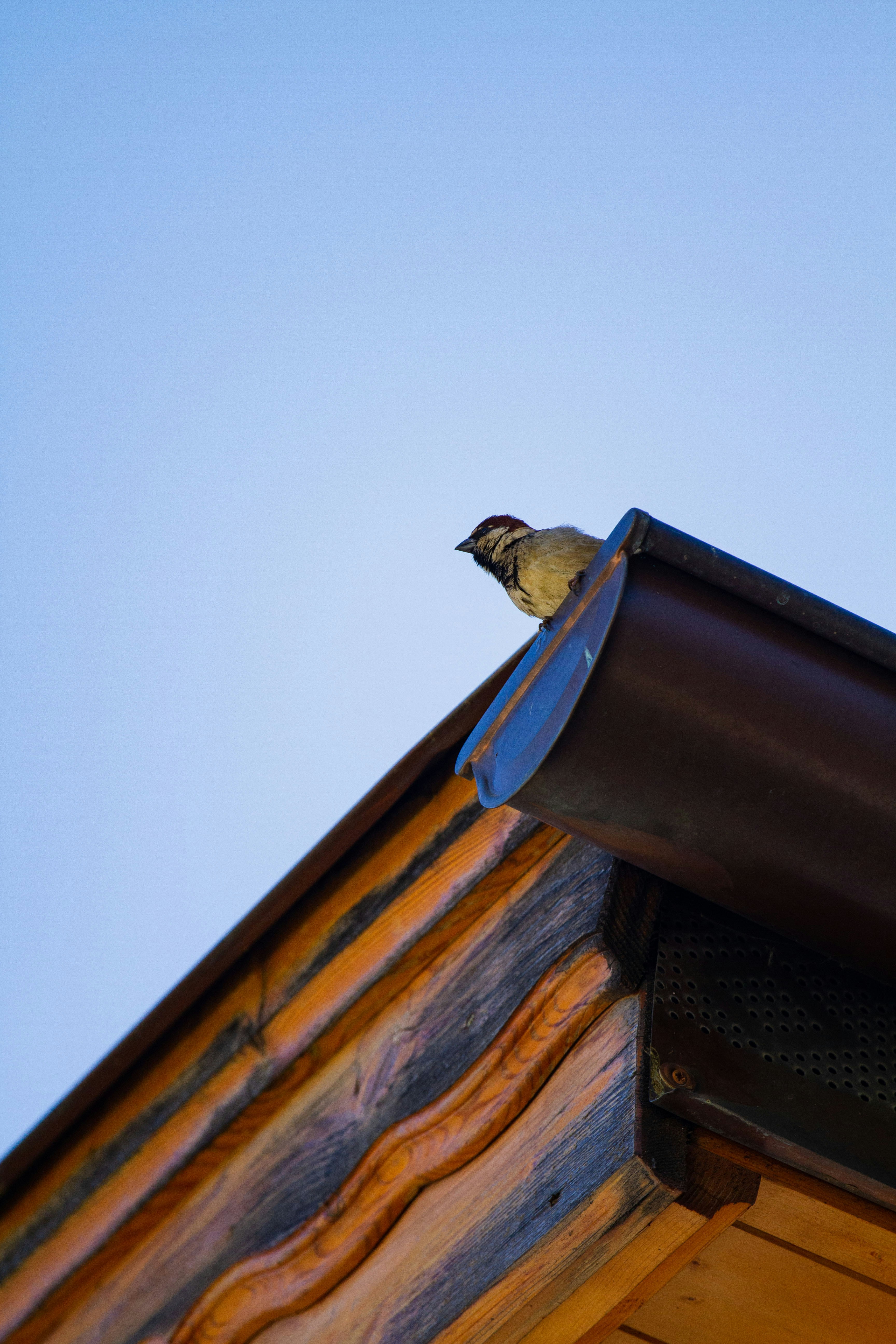 Photo by mattia_poli_04