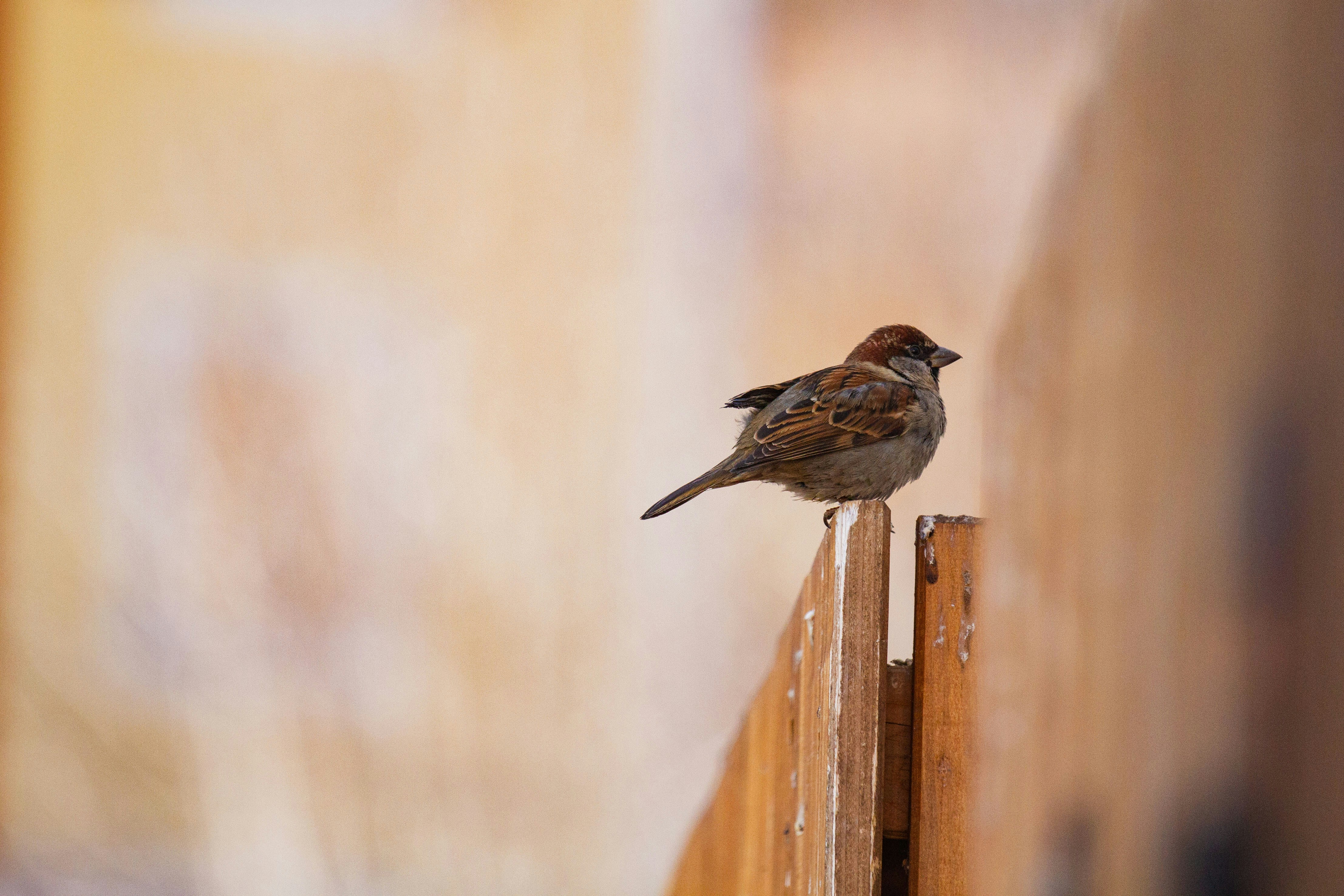 Photo by mattia_poli_04