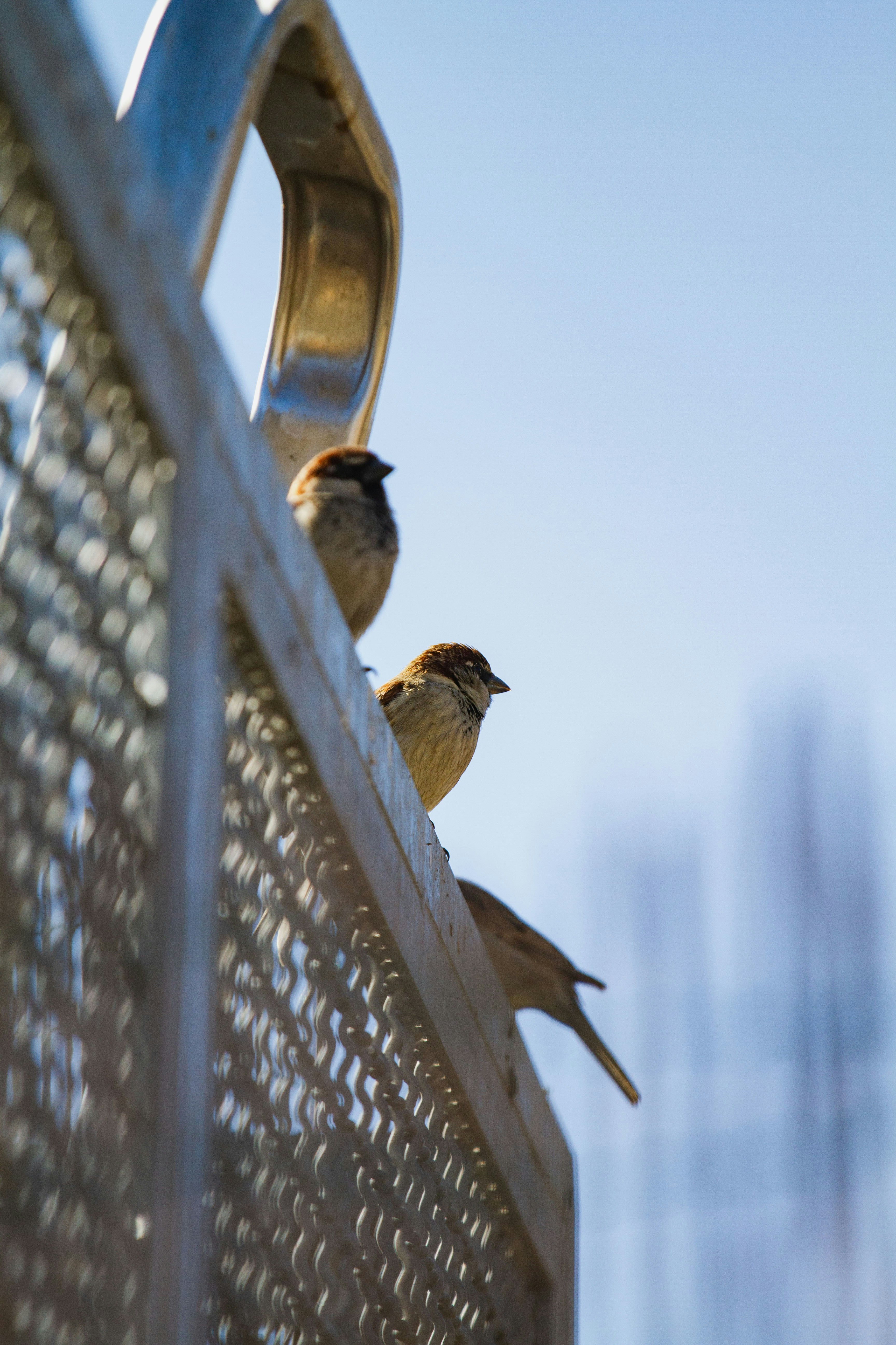 Photo by mattia_poli_04