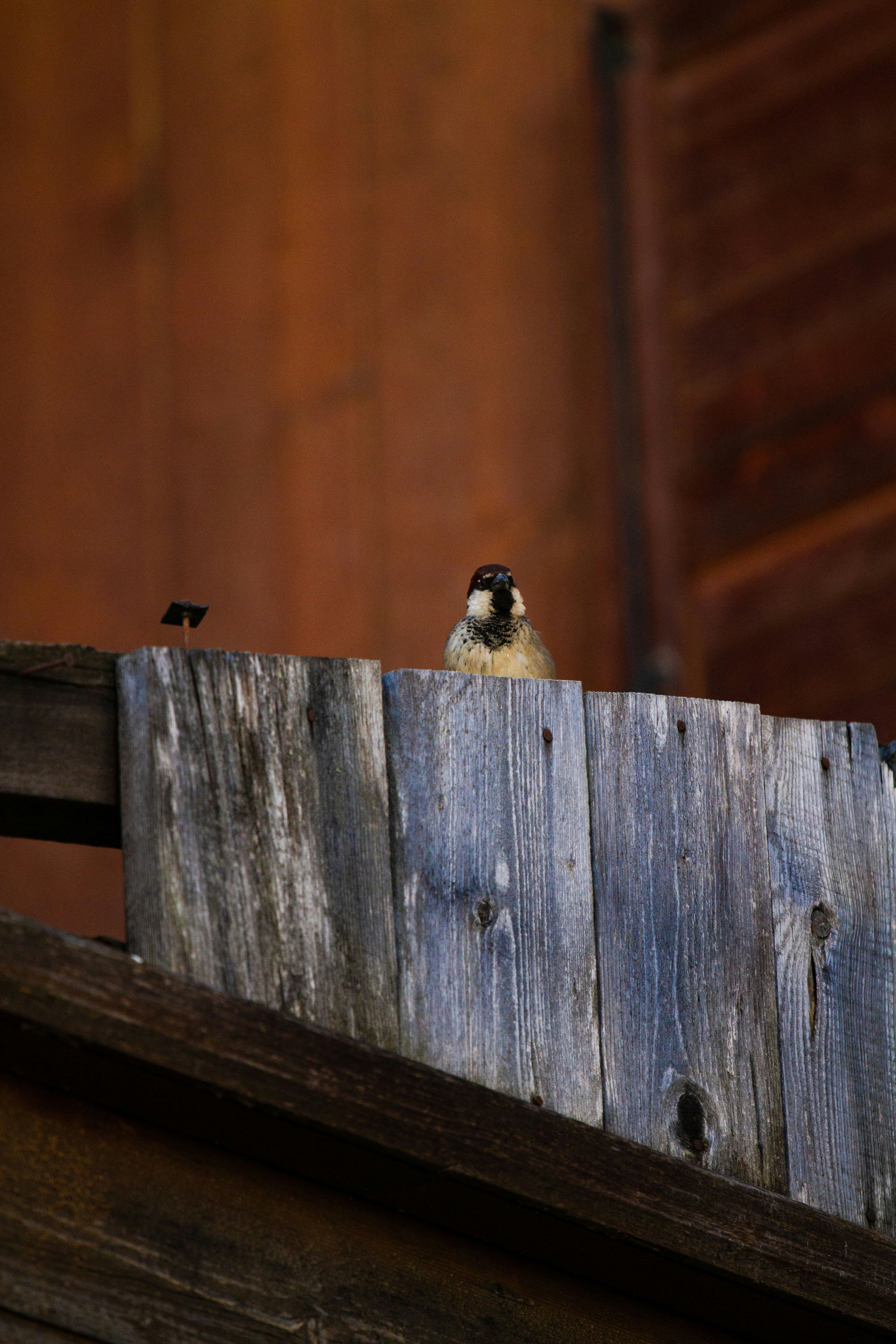 Photo by mattia_poli_04