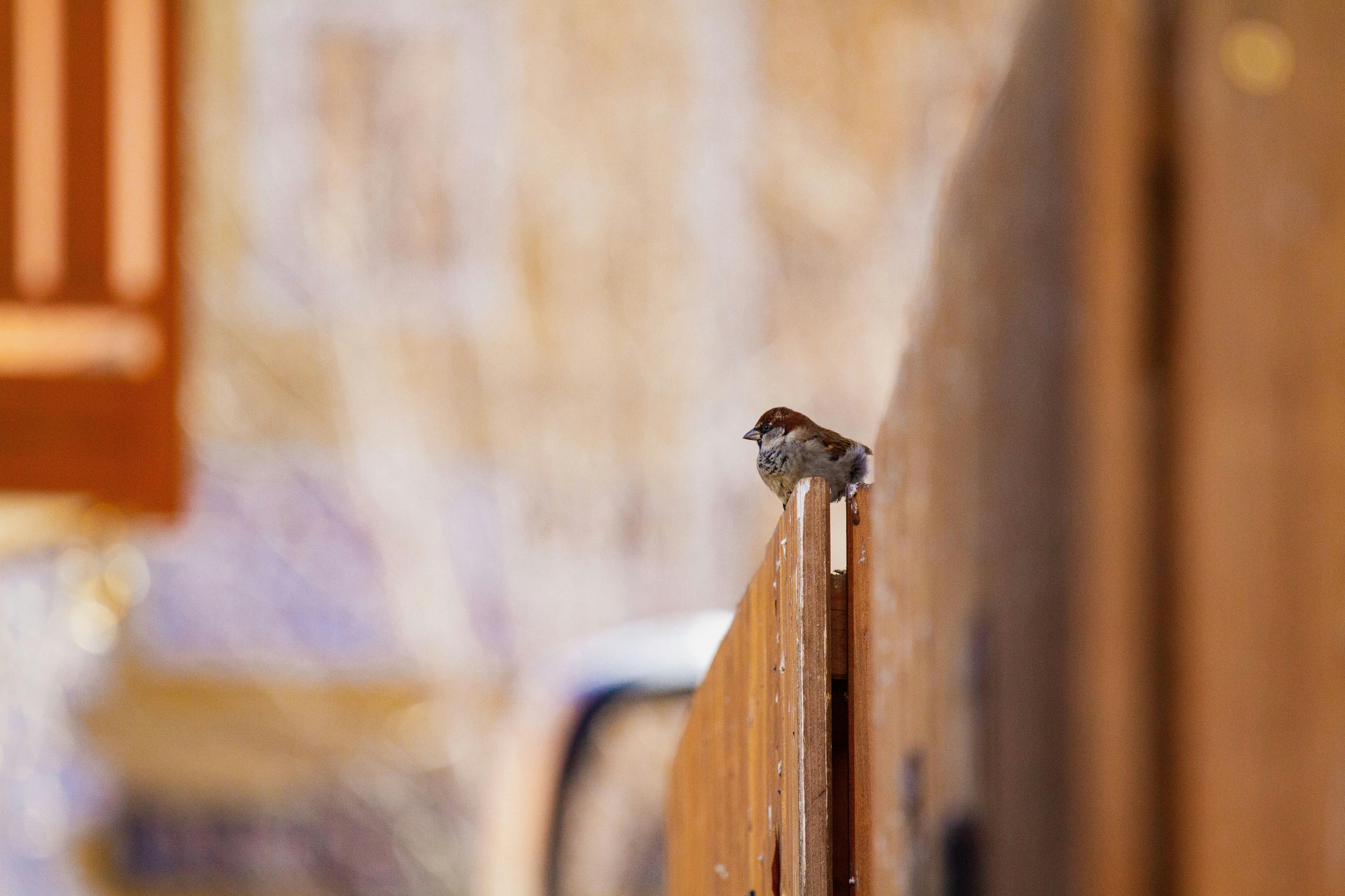 Photo by mattia_poli_04