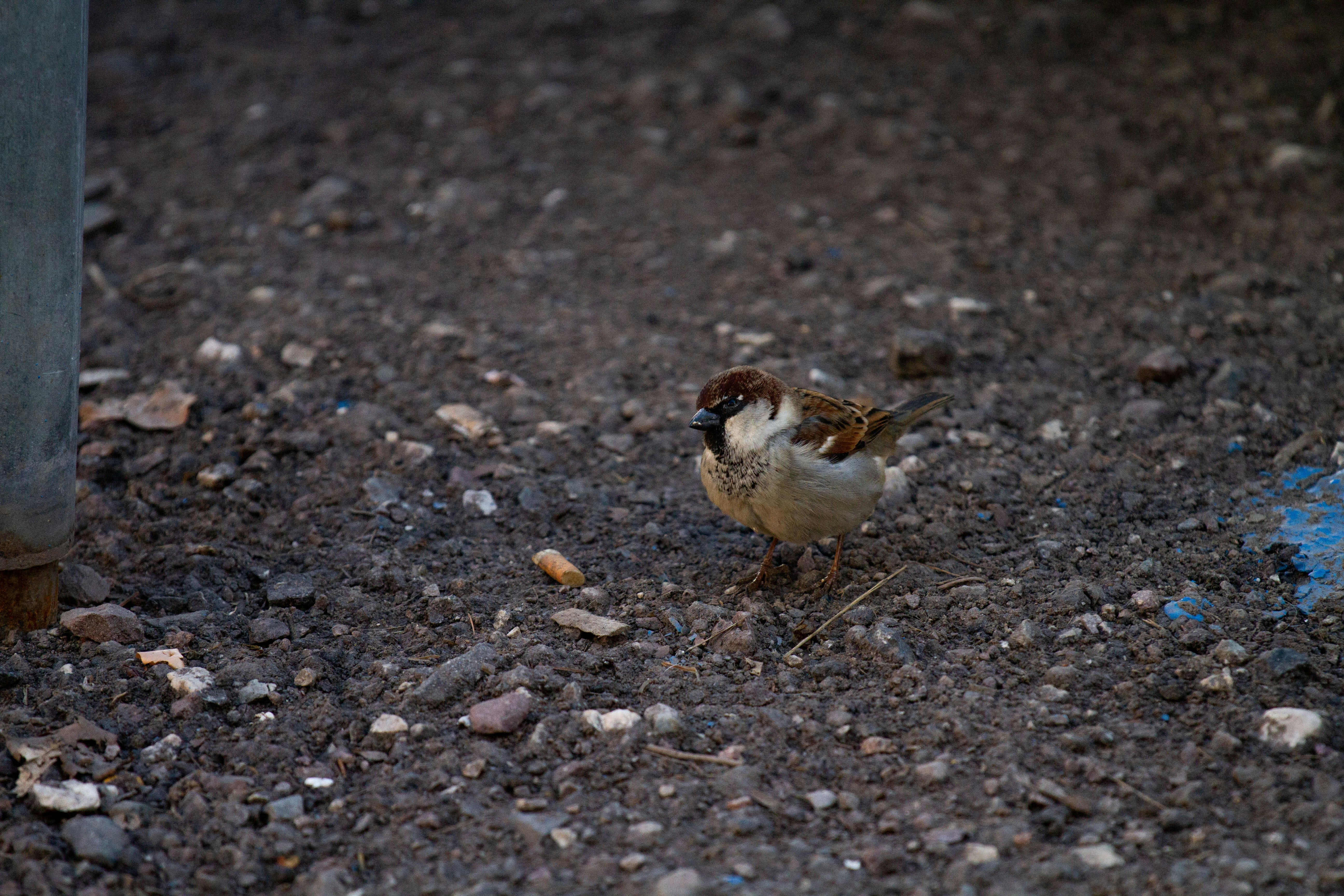 Photo by mattia_poli_04