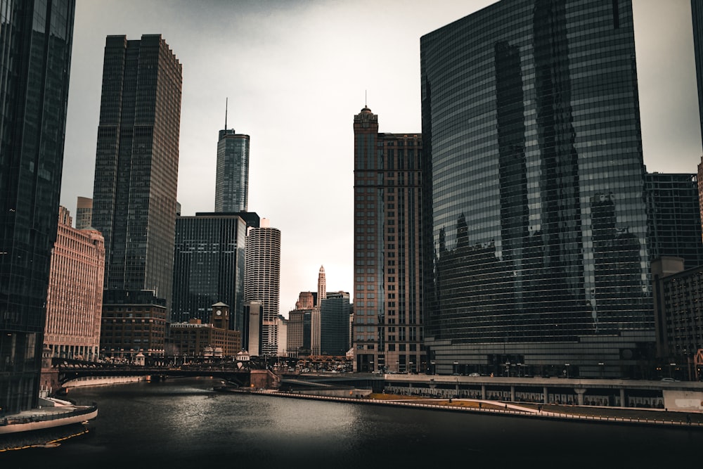 a body of water surrounded by tall buildings