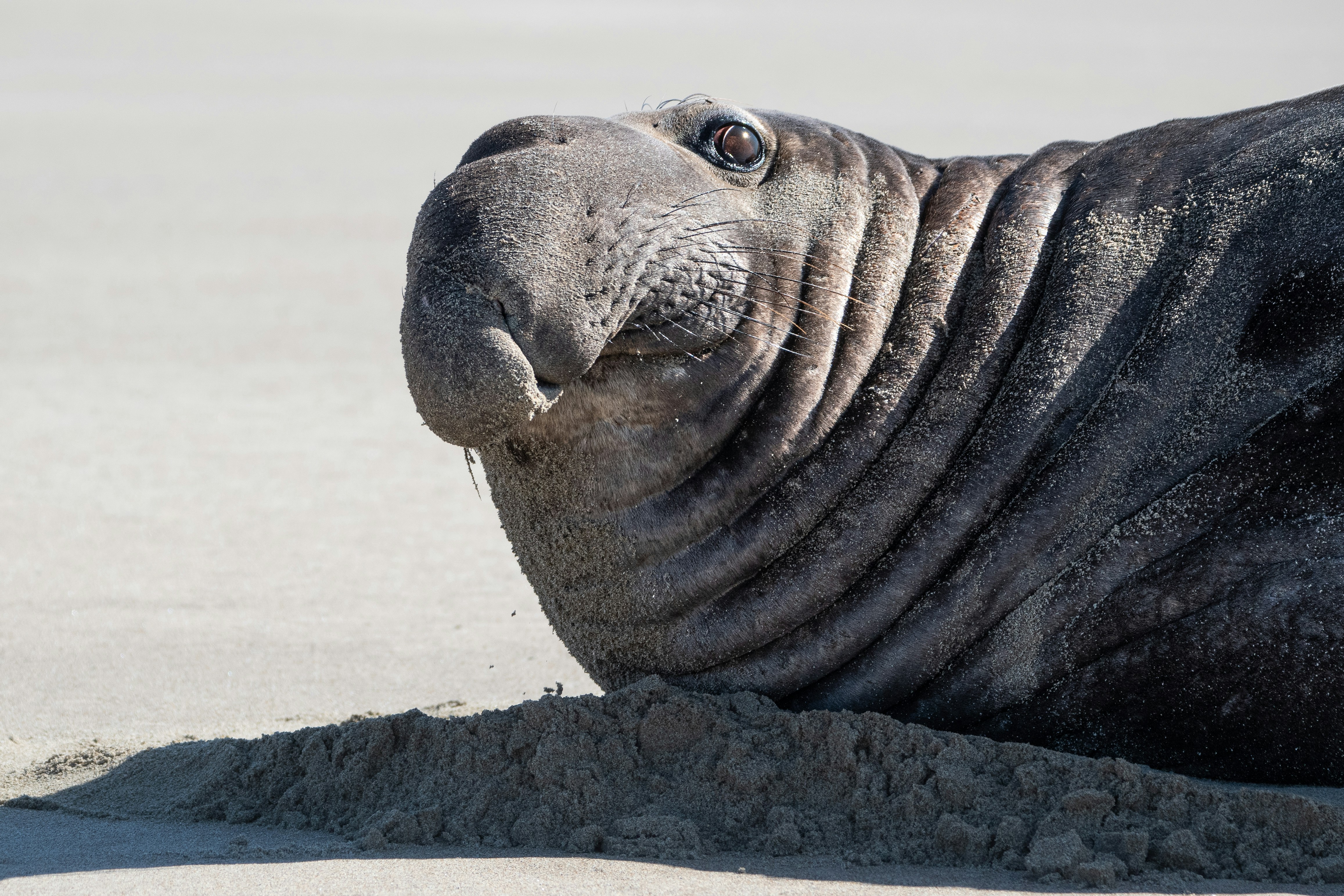 Photo by elisastonephotography