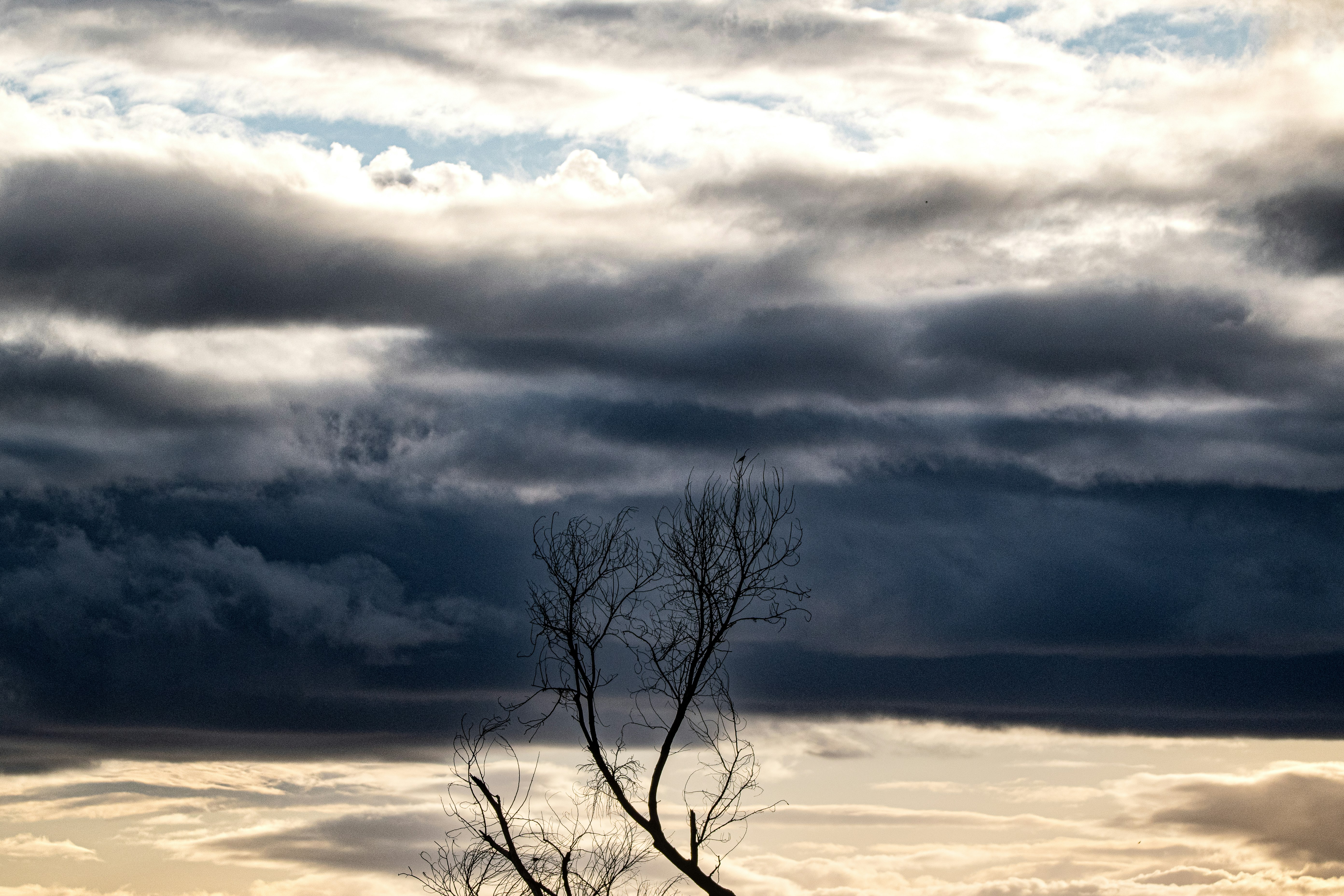 Photo by elisastonephotography