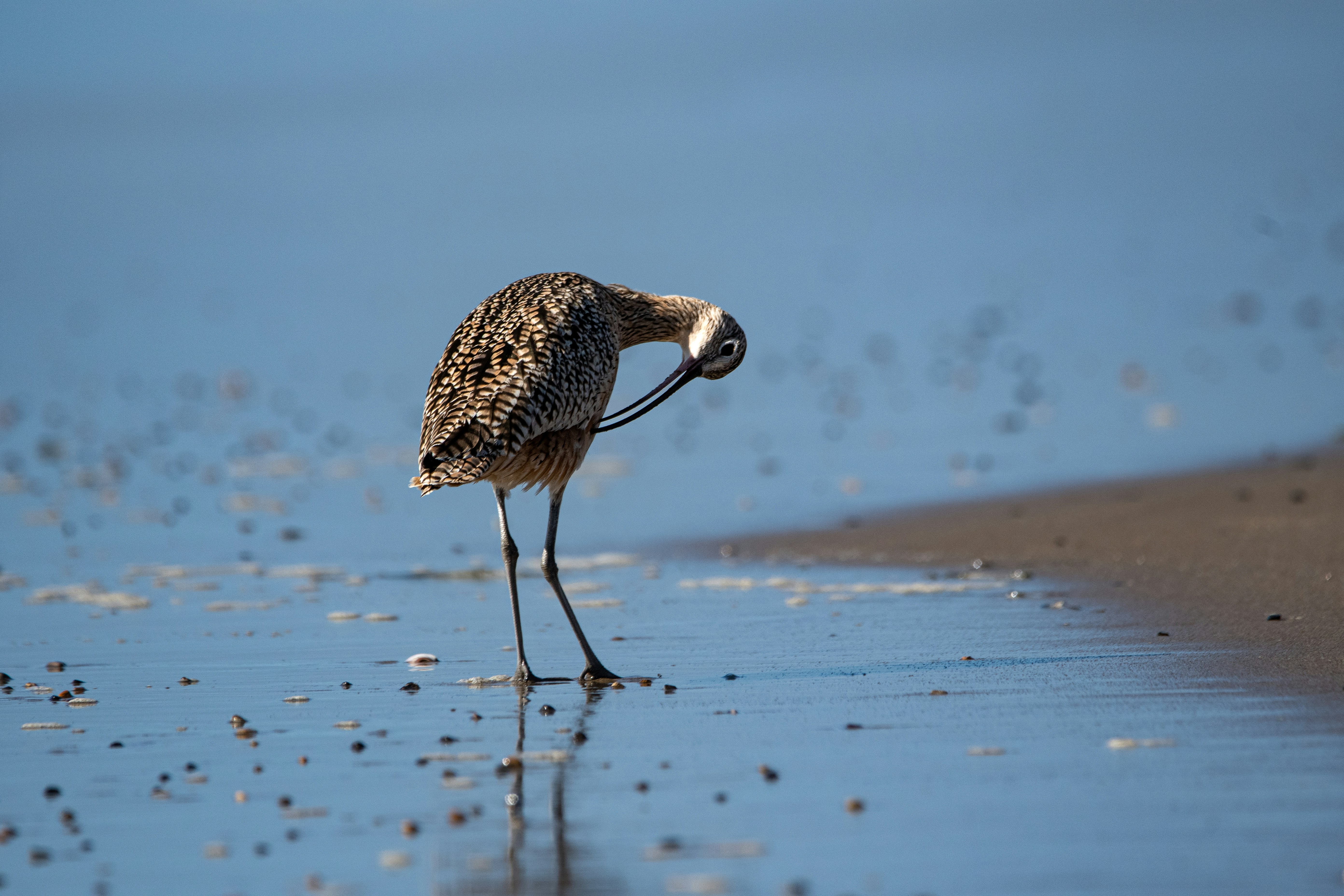 Photo by elisastonephotography