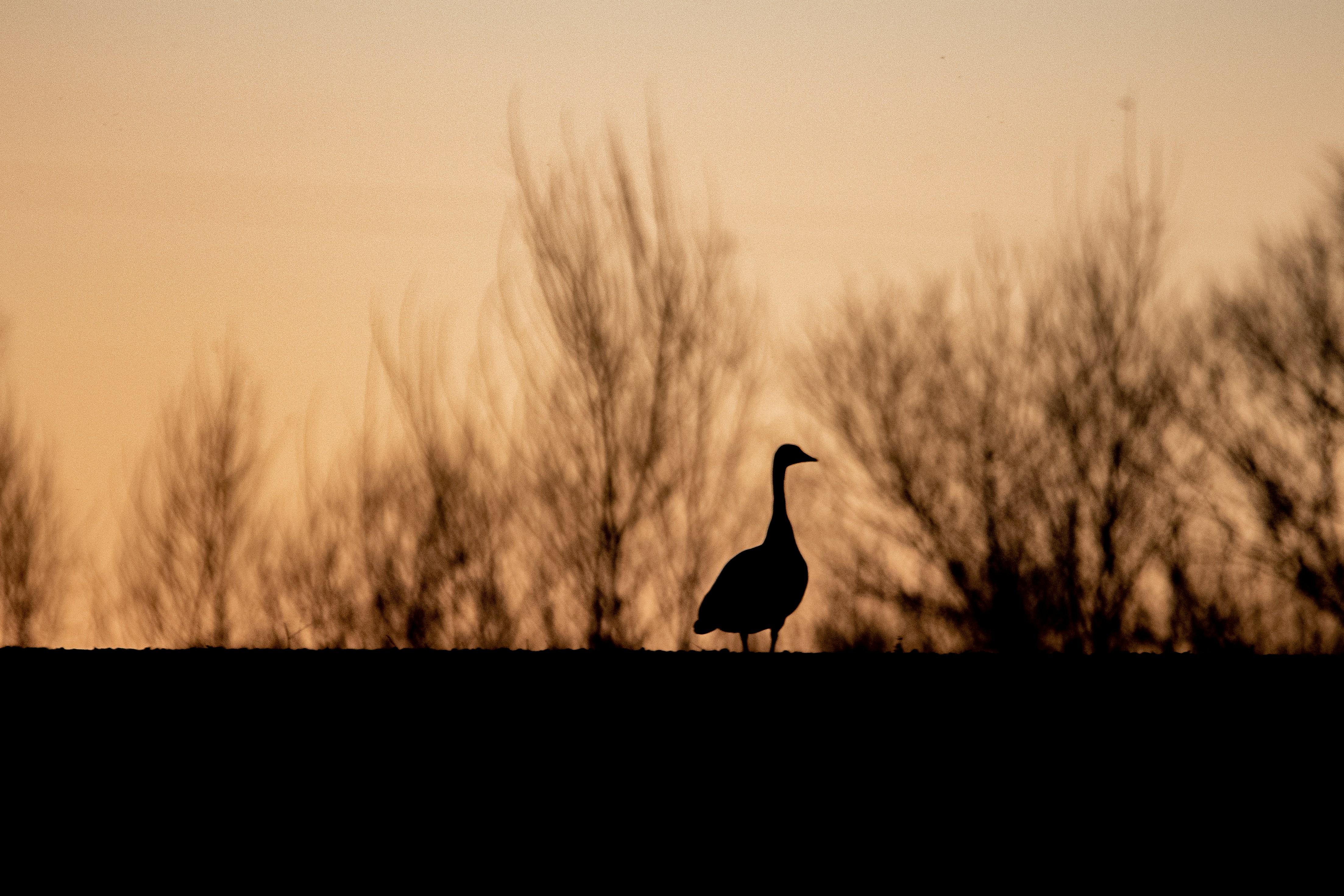 Photo by elisastonephotography