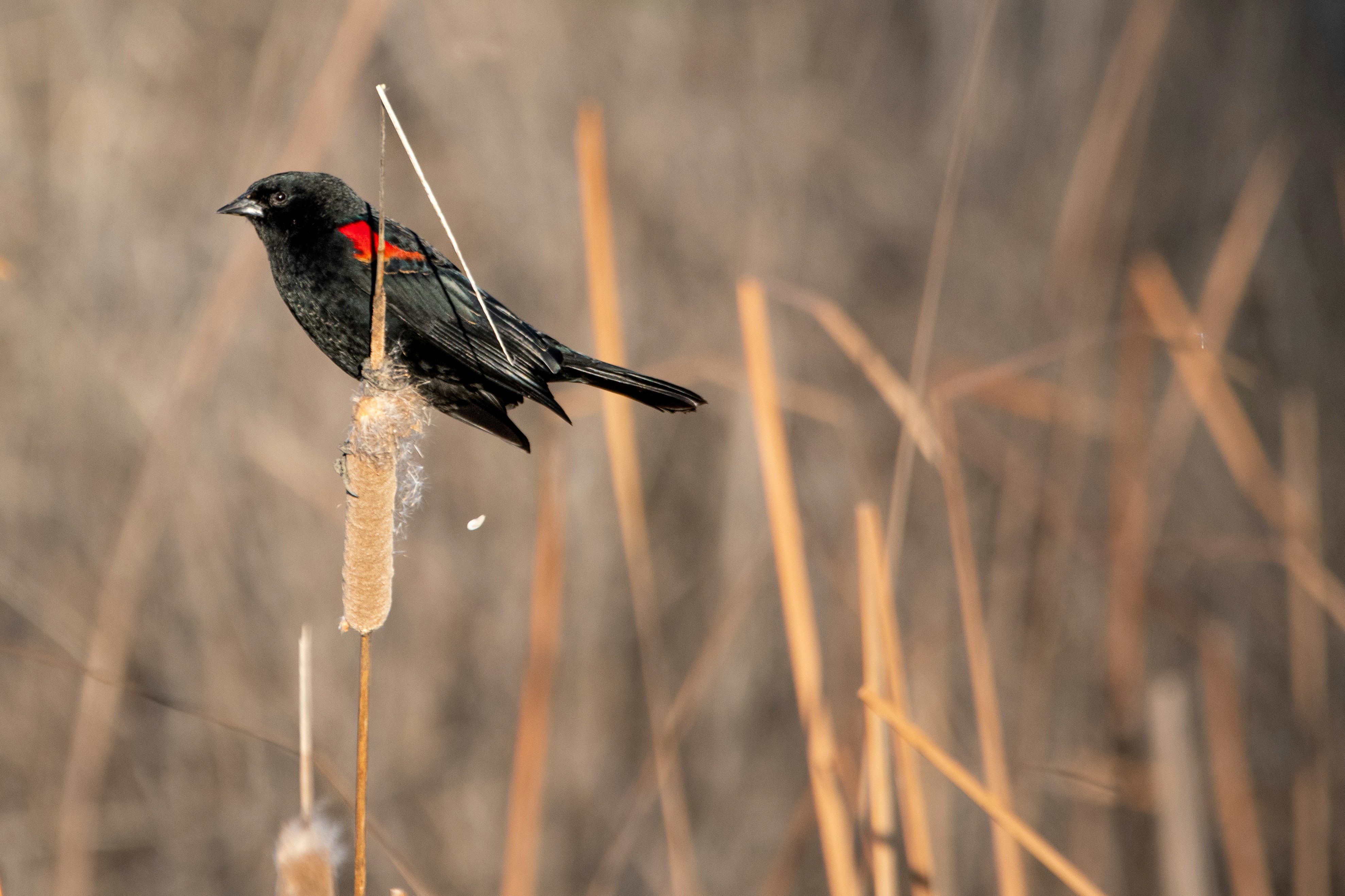 Photo by elisastonephotography