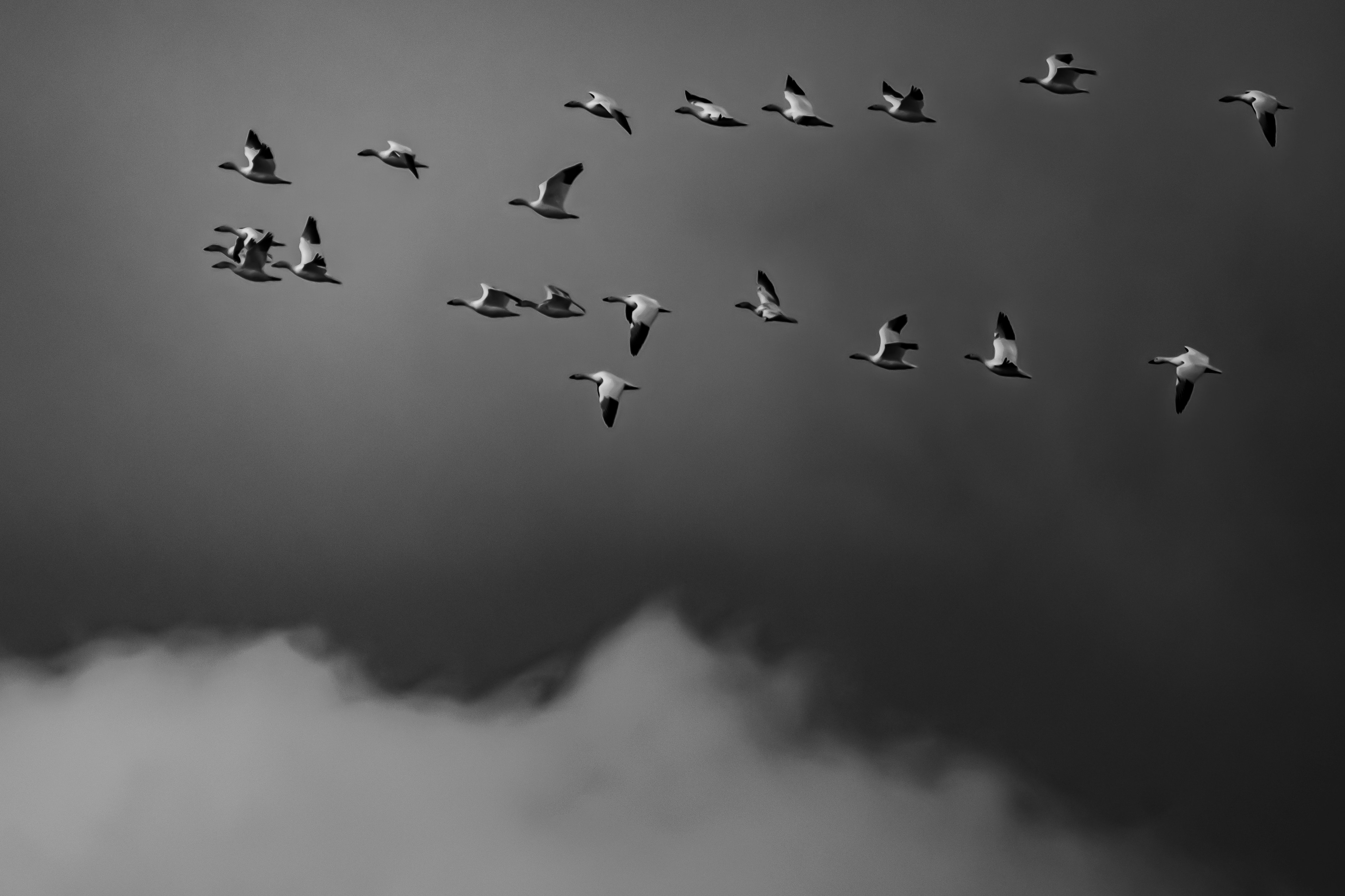 Photo by elisastonephotography