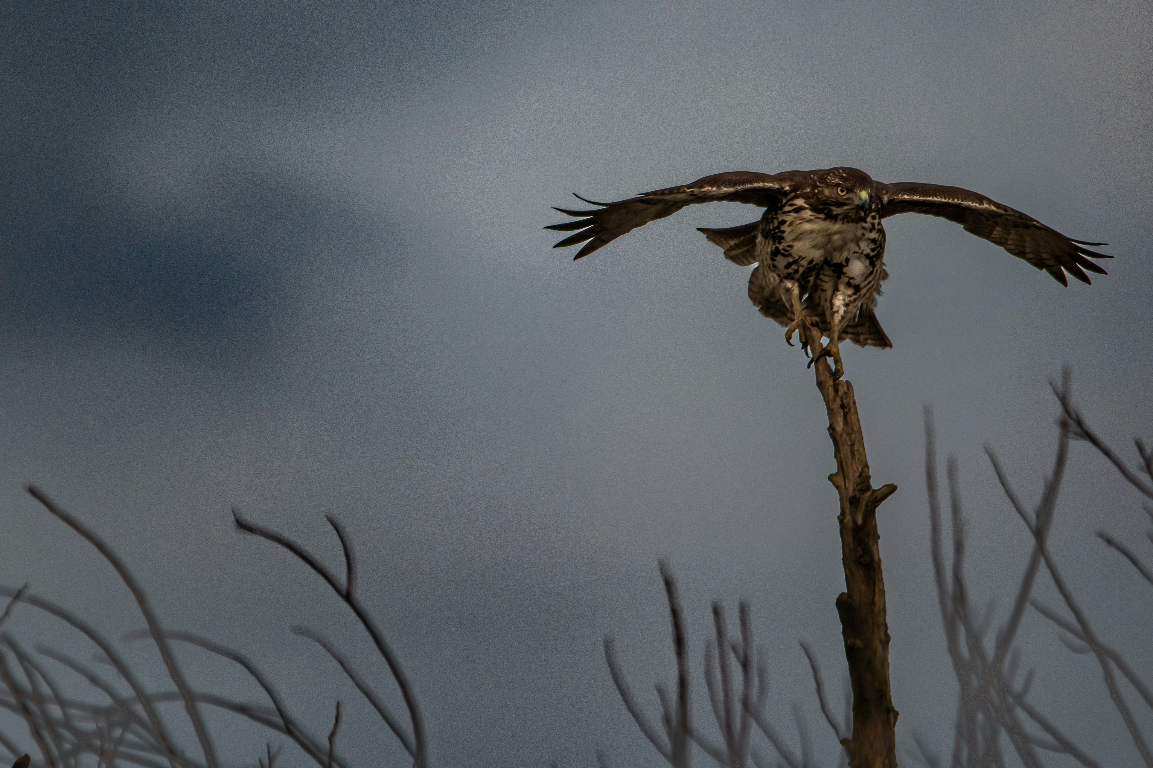 Photo by elisastonephotography