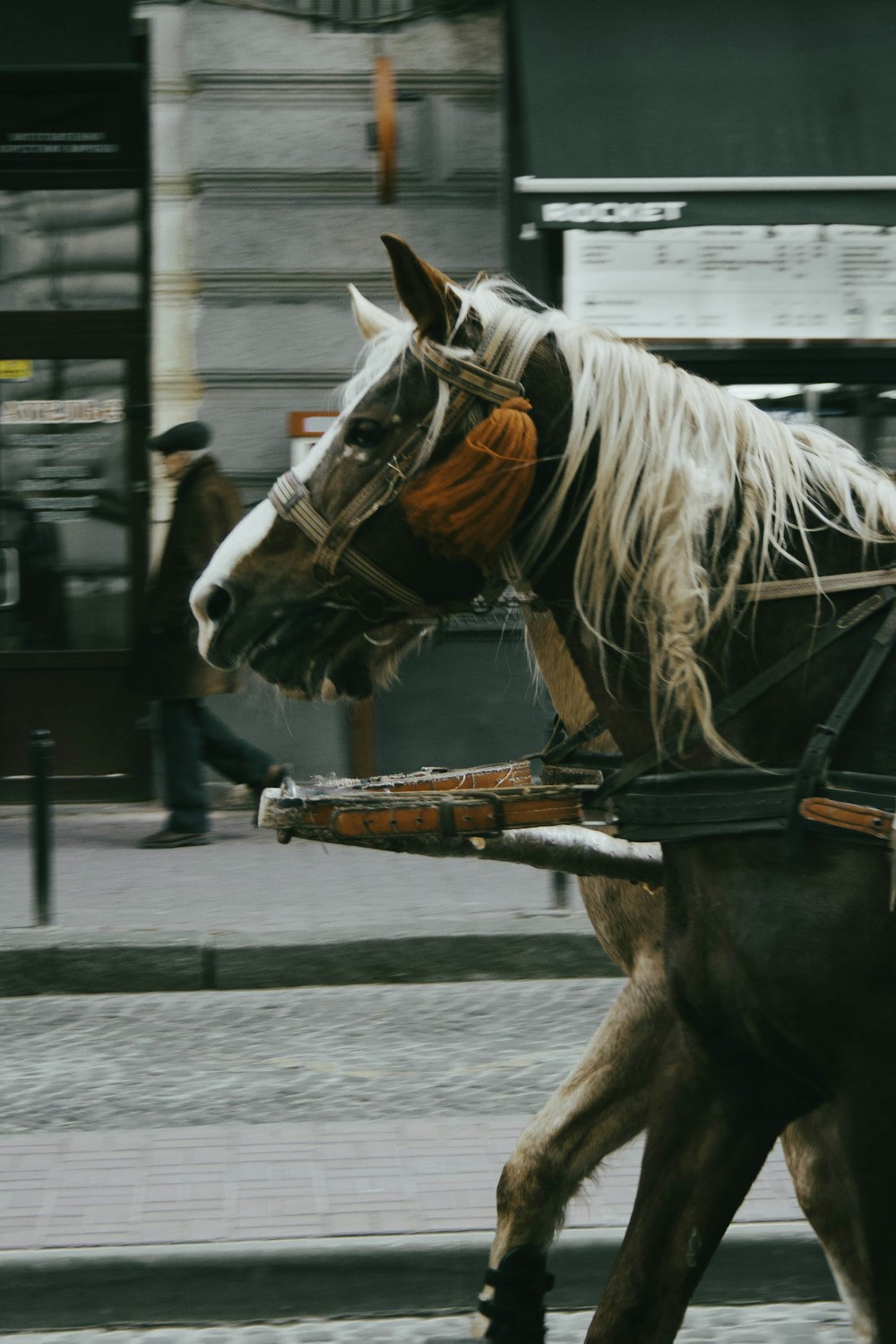 a horse pulling a carriage down a city street