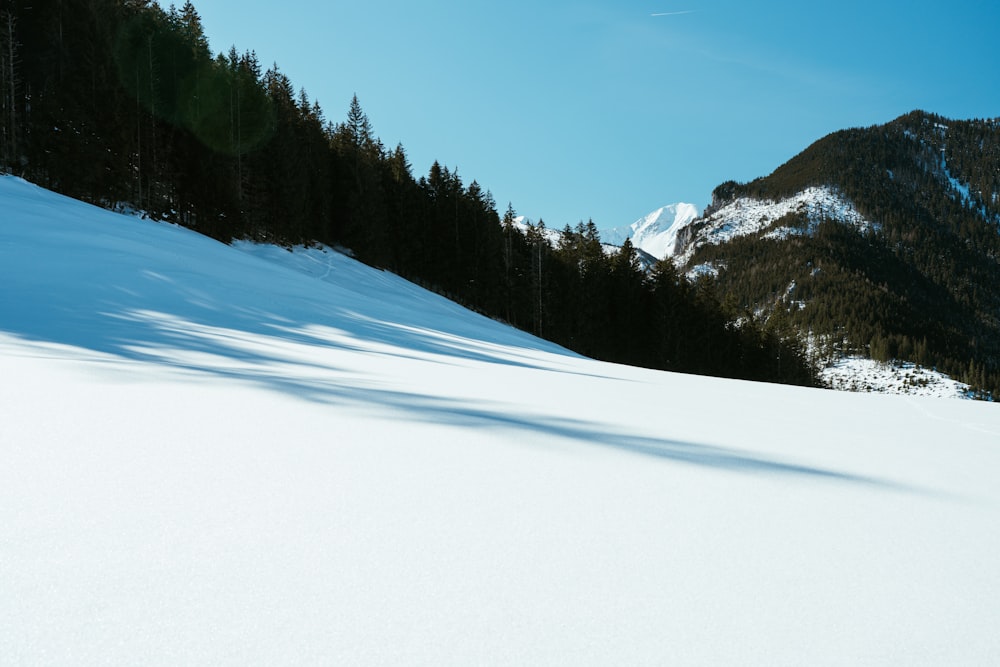 Una persona montando esquís por una pendiente cubierta de nieve