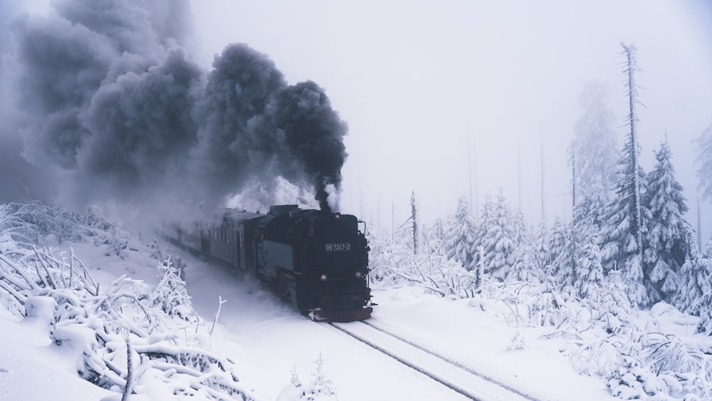 雪に覆われた森の中を走る列車