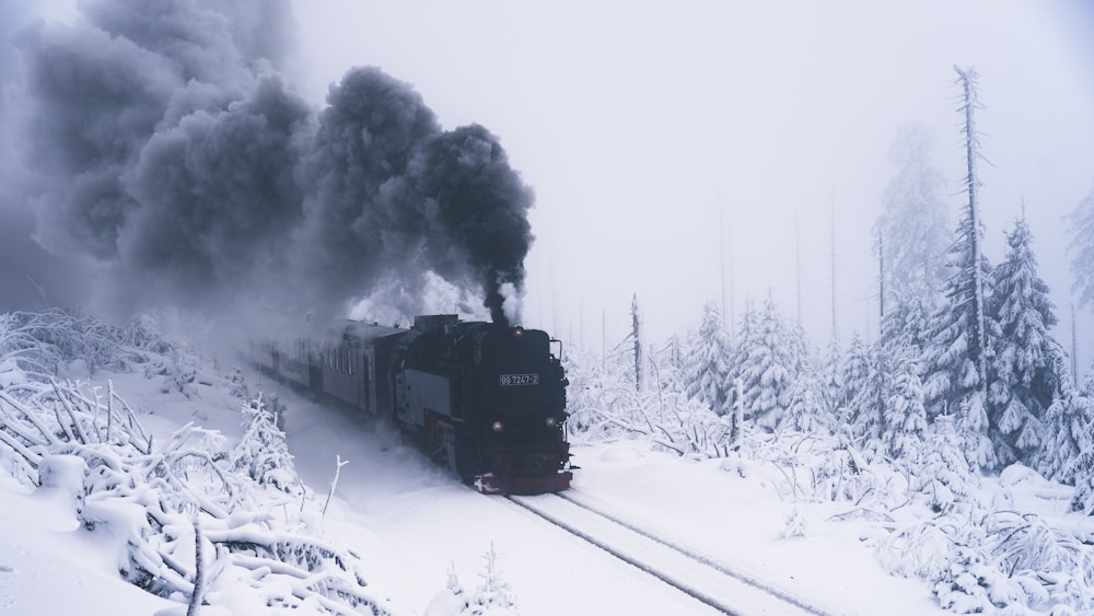 a train traveling through a snow covered forest