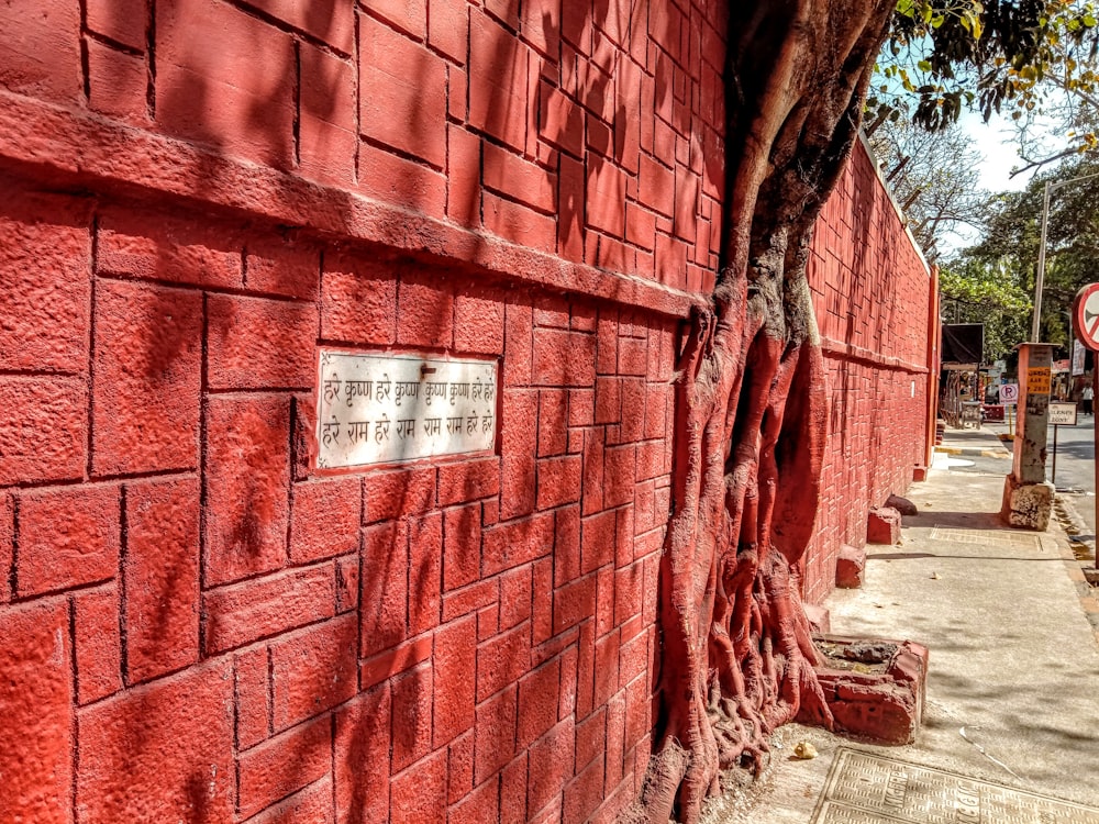 a red brick wall with a tree growing out of it