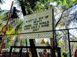 A sign board is displayed above a metal fence with palm trees and foliage in the background. The board contains an inspirational message in bold black letters. The scene is brightly lit by sunlight, creating a vibrant atmosphere.