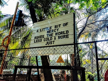 A sign board is displayed above a metal fence with palm trees and foliage in the background. The board contains an inspirational message in bold black letters. The scene is brightly lit by sunlight, creating a vibrant atmosphere.