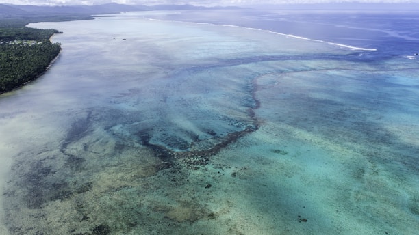 An aerial view of a coastal area showcasing a vast expanse of shallow turquoise waters with visible coral reefs beneath. To the left, a dense line of verdant trees borders the shoreline, while in the distance, the sea stretches out towards the horizon.