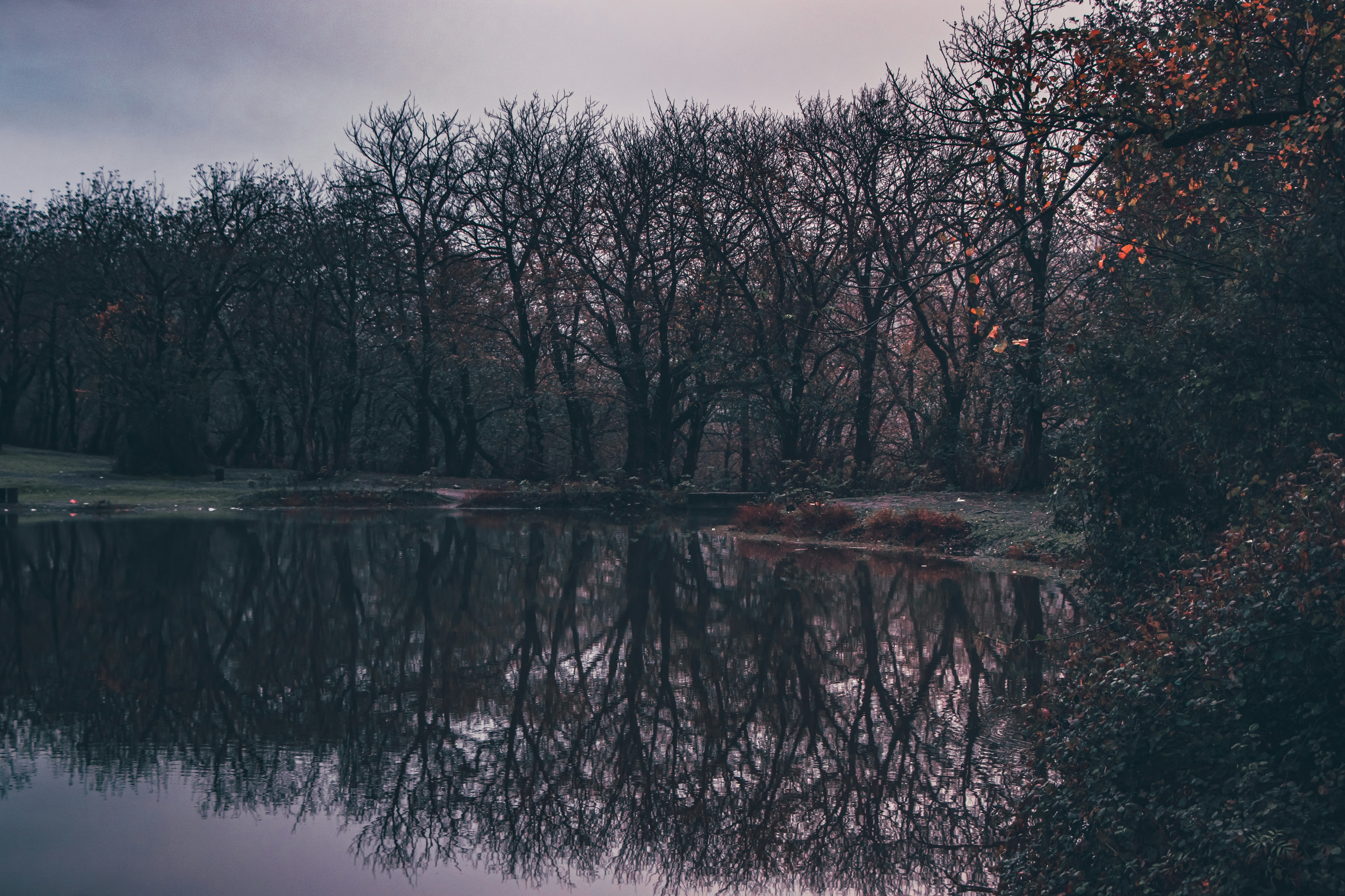 Photo by mahdibafande