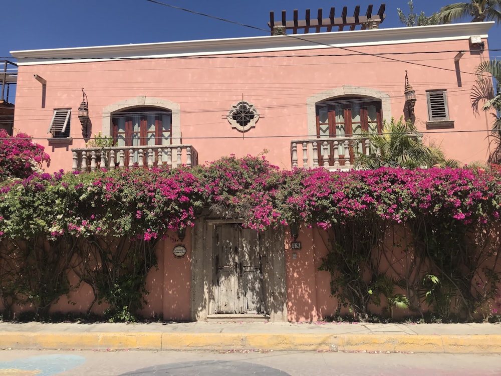 Un edificio rosa con flores rosadas que crecen en él