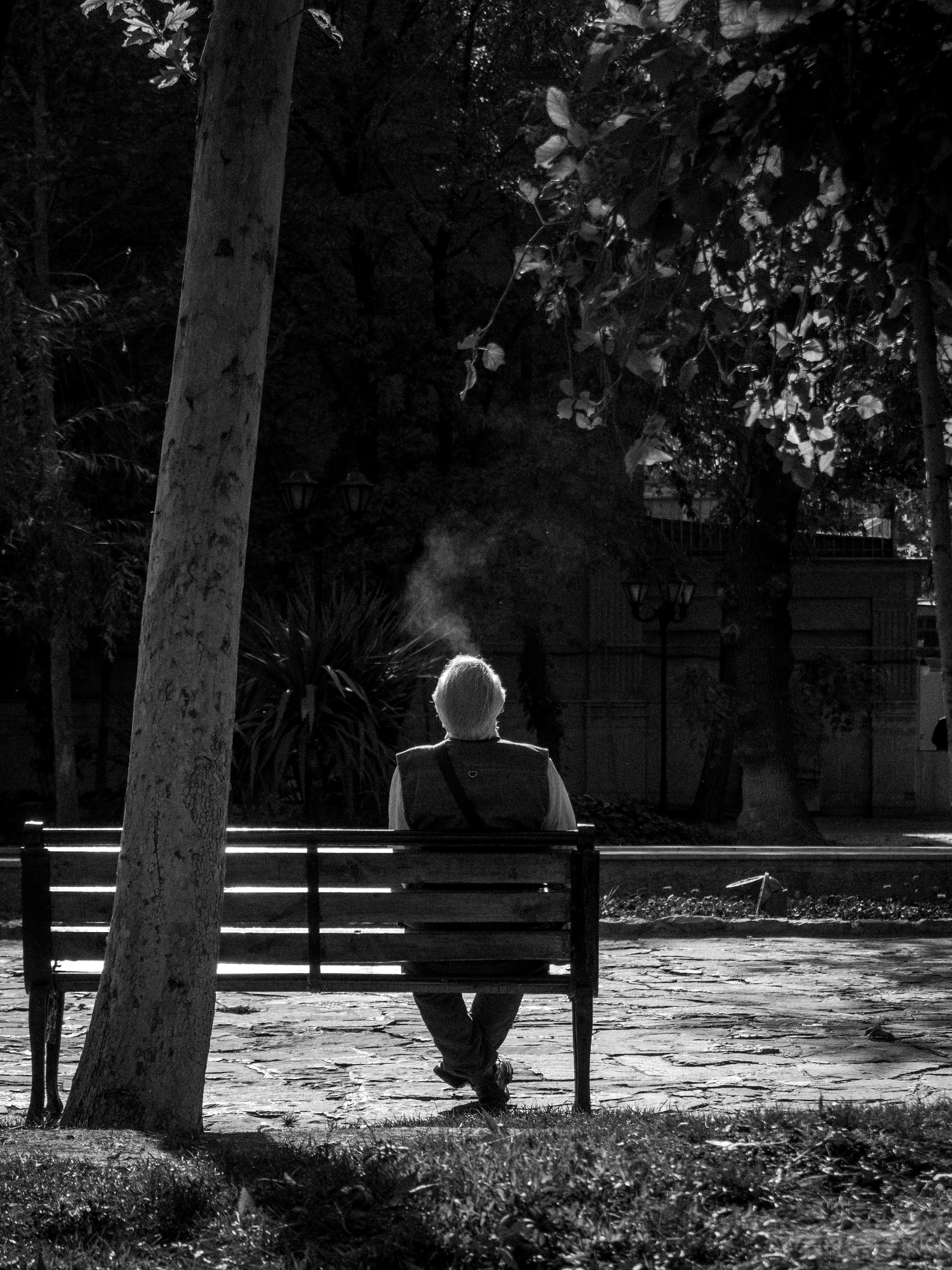 a man sitting on top of a bench next to a tree
