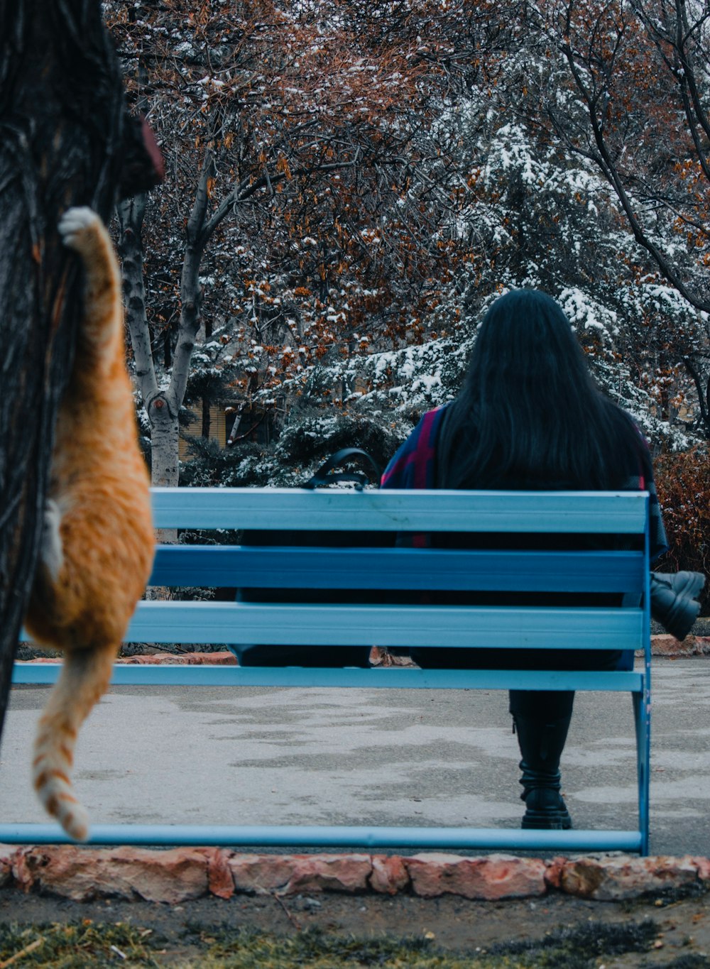 a woman sitting on a bench with a cat on her back
