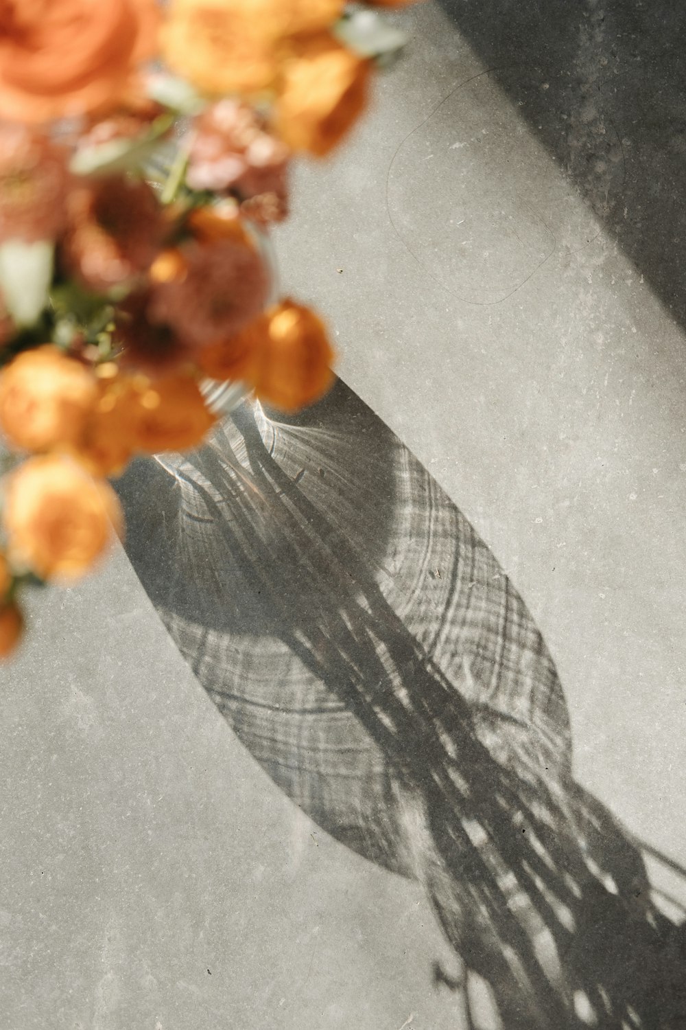 the shadow of a vase of flowers on a table