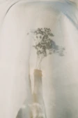 Natural light filtering through leaves, casting shadows over the elegant isara bottle.