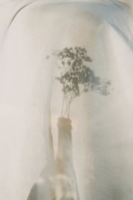 Natural light filtering through leaves, casting shadows over the elegant isara bottle.