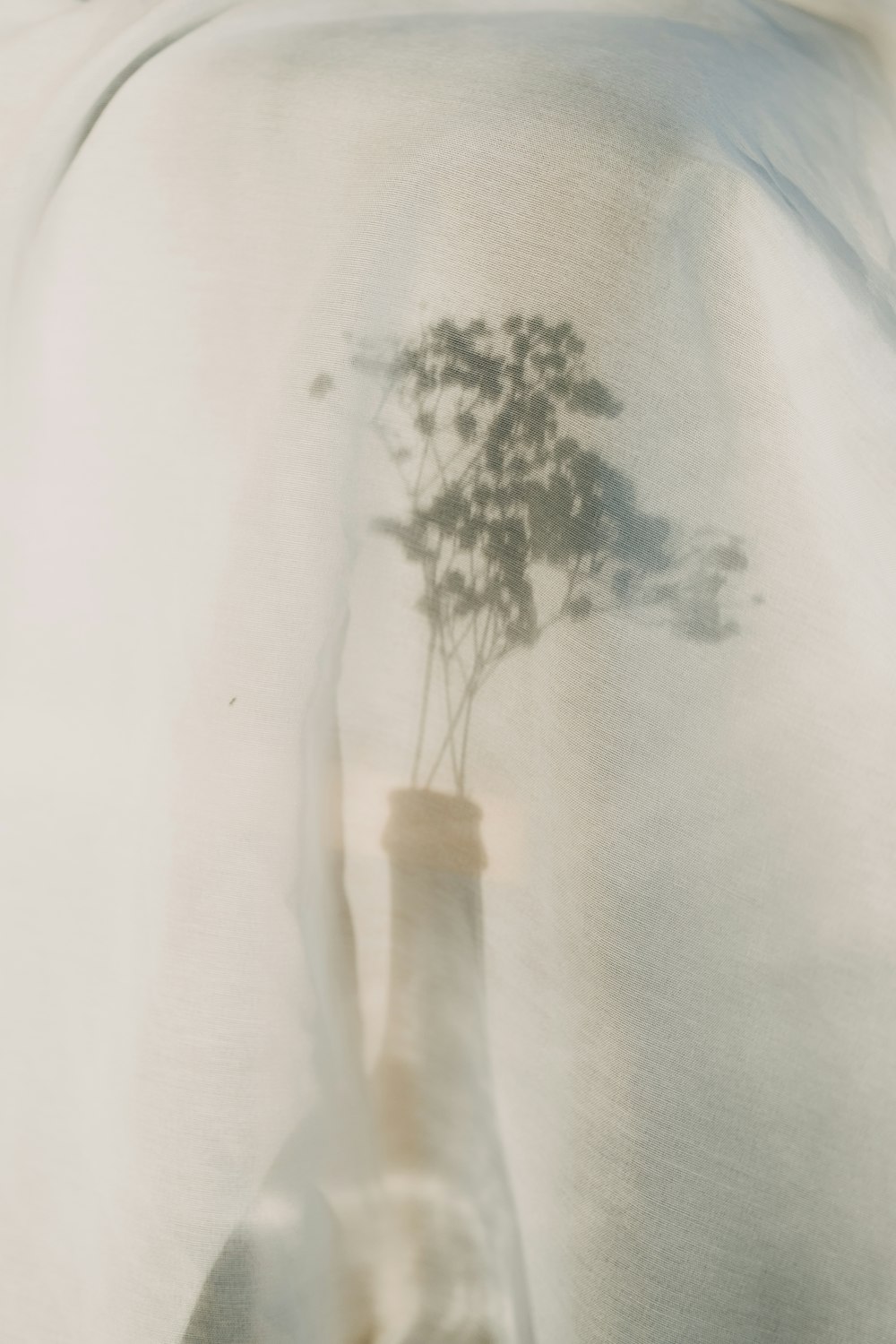 a glass bottle with a plant in it