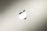 A metallic symbol resembling an apple with a bite taken out of it appears centered against a smooth gradient background. The background shifts subtly from light to dark, creating a sleek and modern aesthetic.