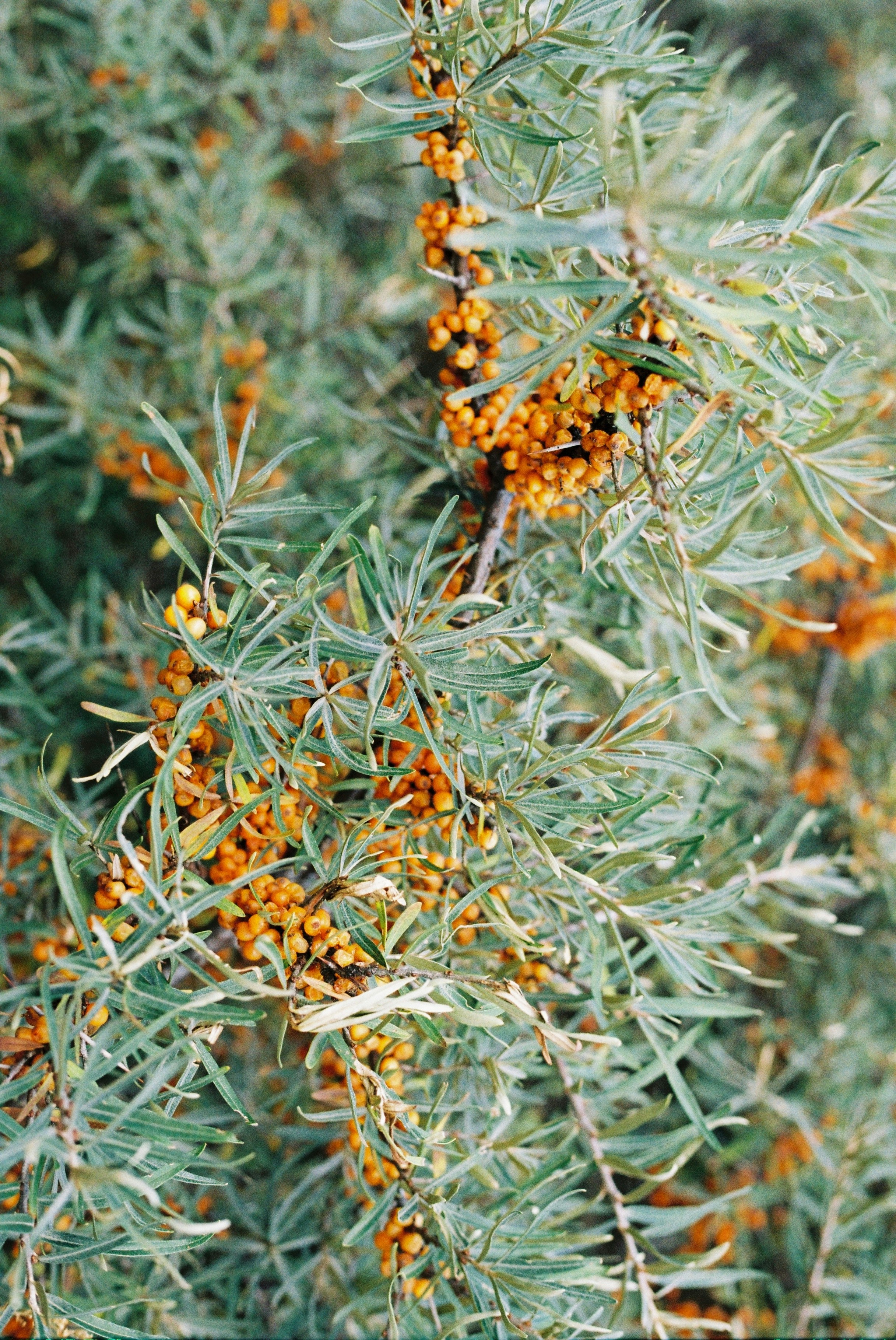 Photo by l_milky_way