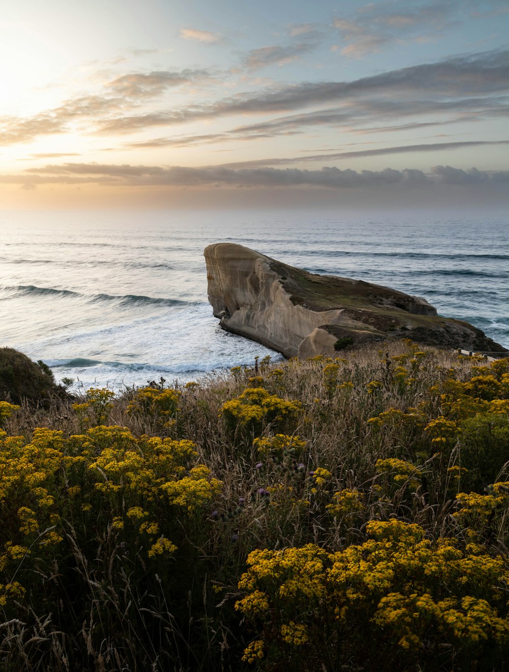 a large rock sitting on top of a lush green field