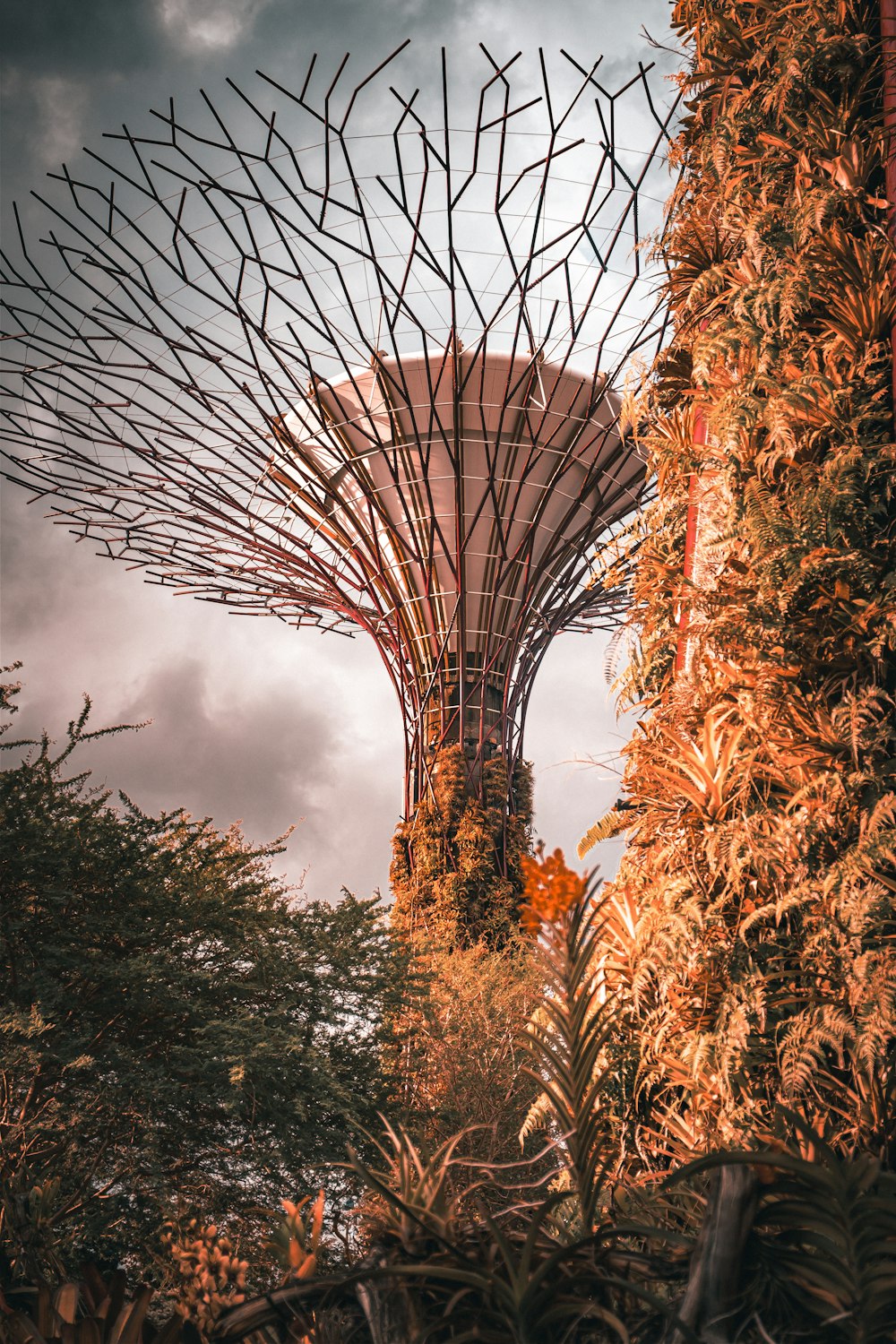 a very tall tree with a very tall tower in the background