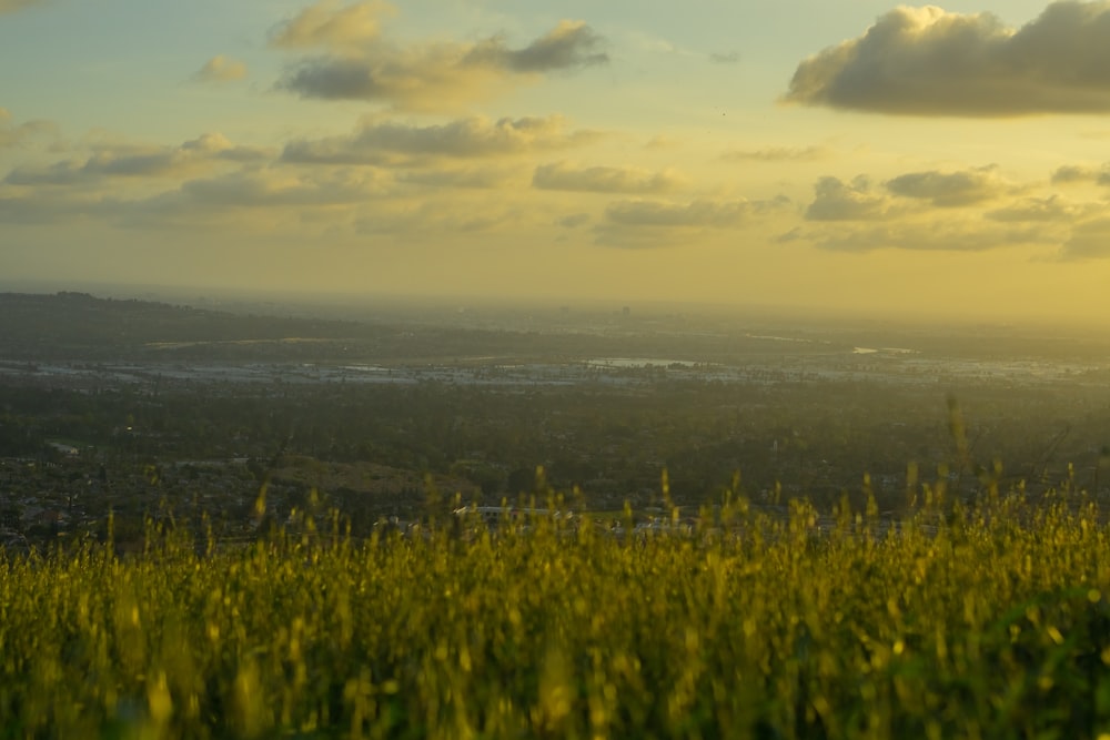 a field of grass with a view of a city in the distance