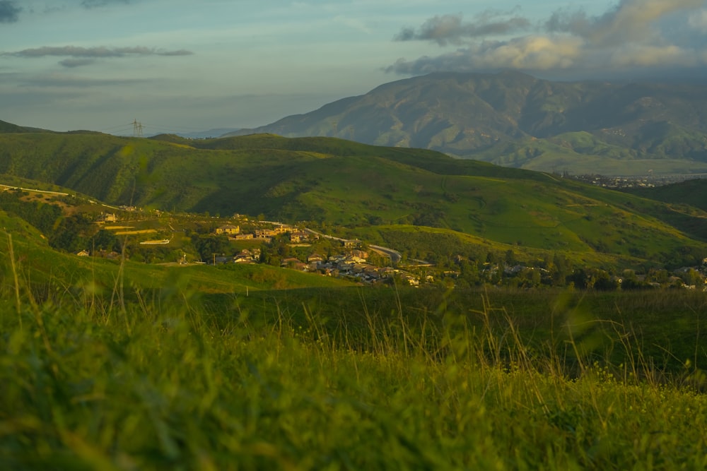 a lush green hillside covered in lush green grass