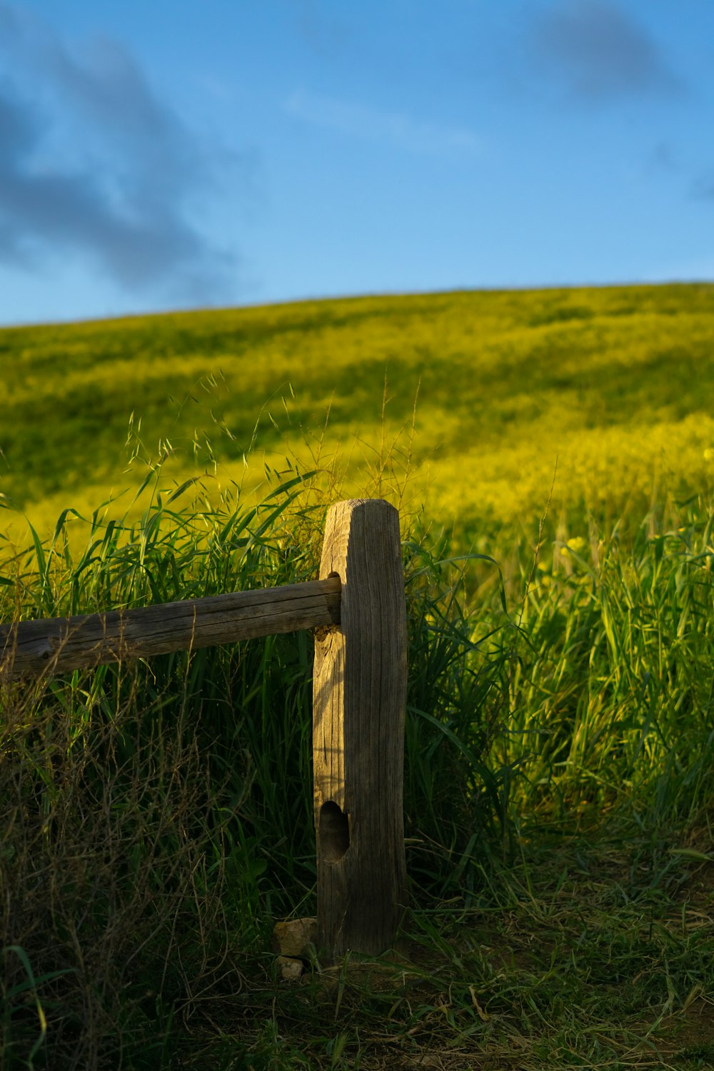 a wooden fence sitting in the middle of a lush green field